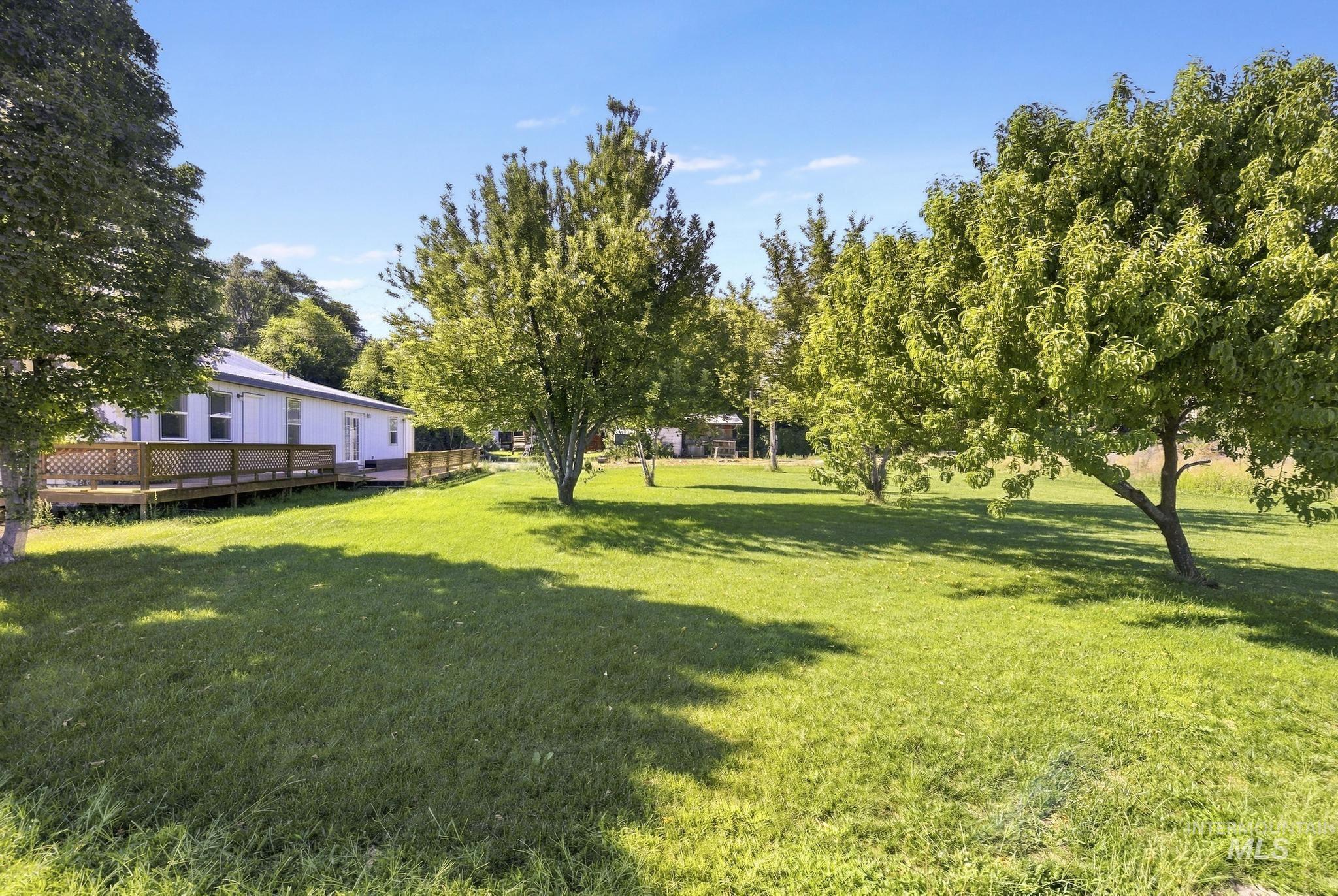 351 Kentucky Property Photo 30