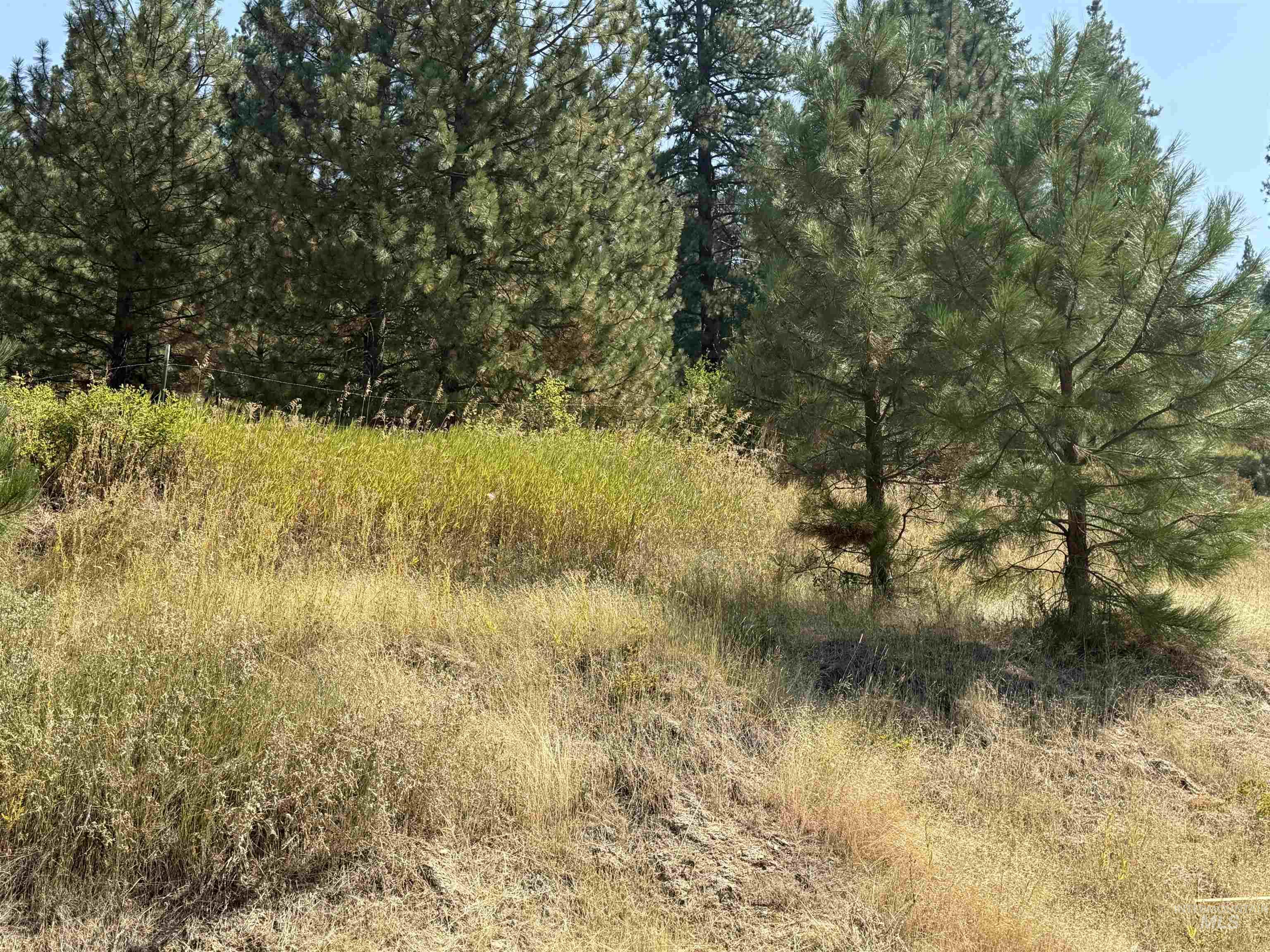 1416 Hatter Creek Property Photo 17