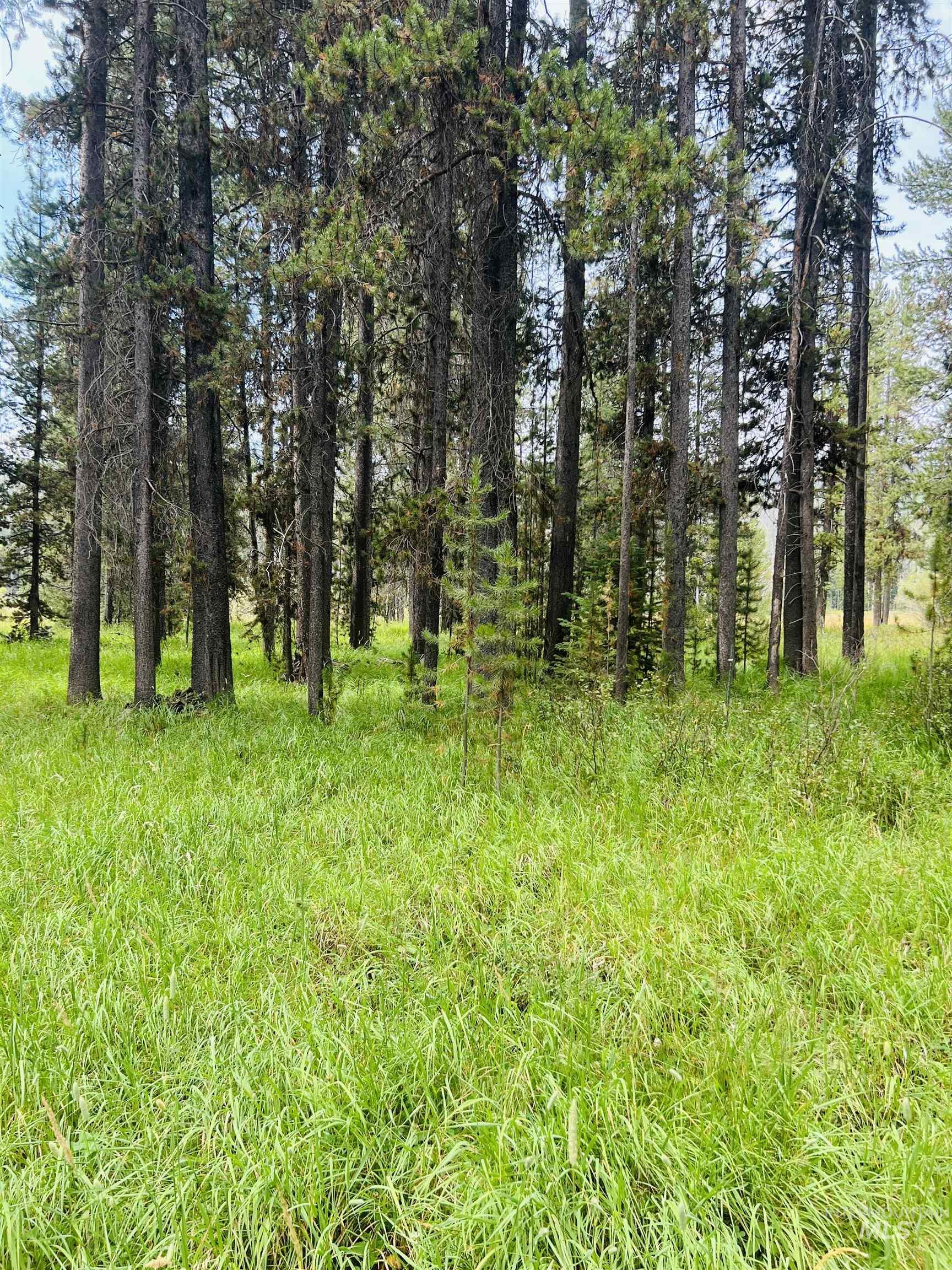 Lots 9&10 Warren Wagon Road Property Photo 1