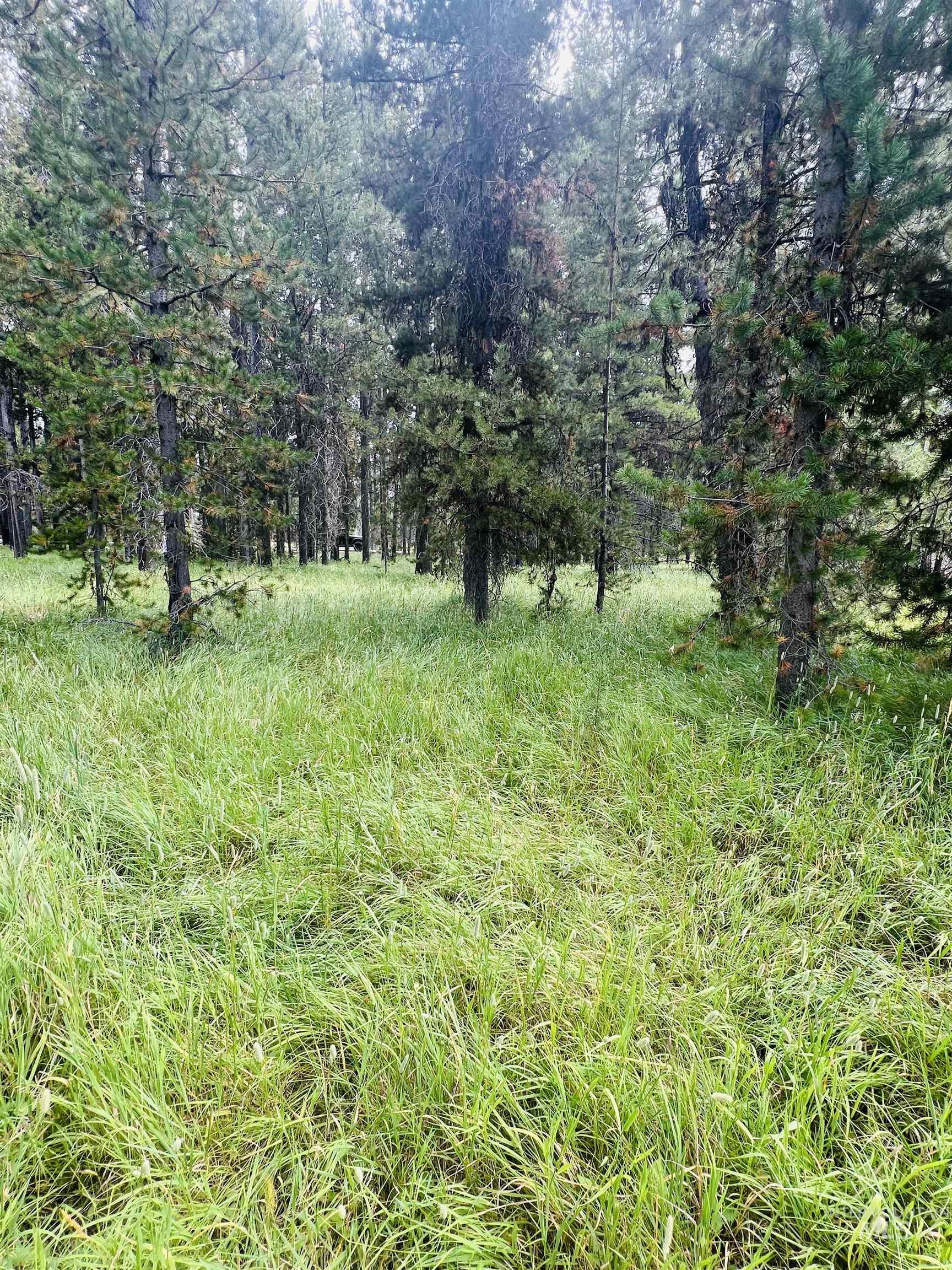 Lots 9&10 Warren Wagon Road Property Photo 2