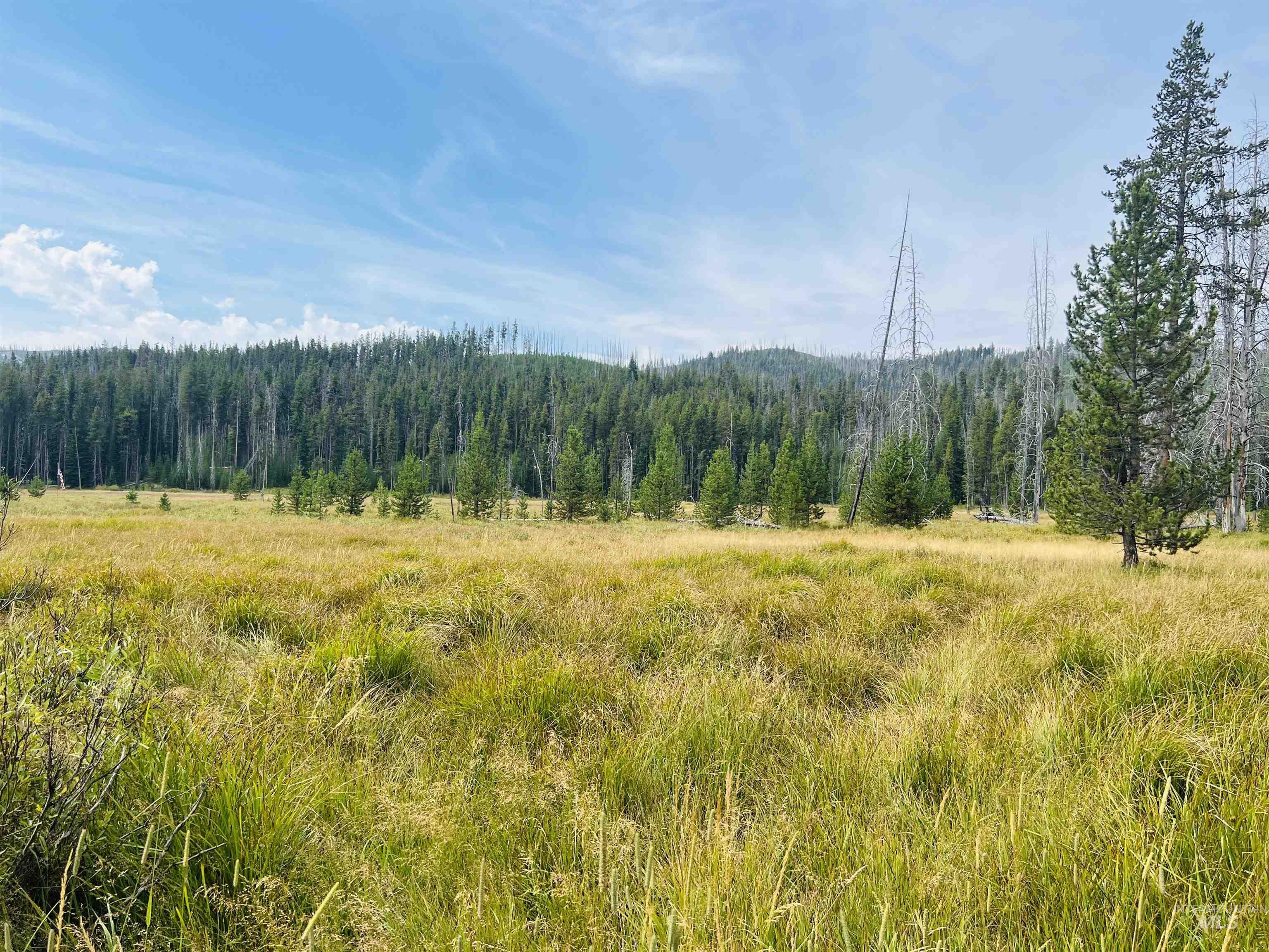 Lots 9&10 Warren Wagon Road Property Photo 3