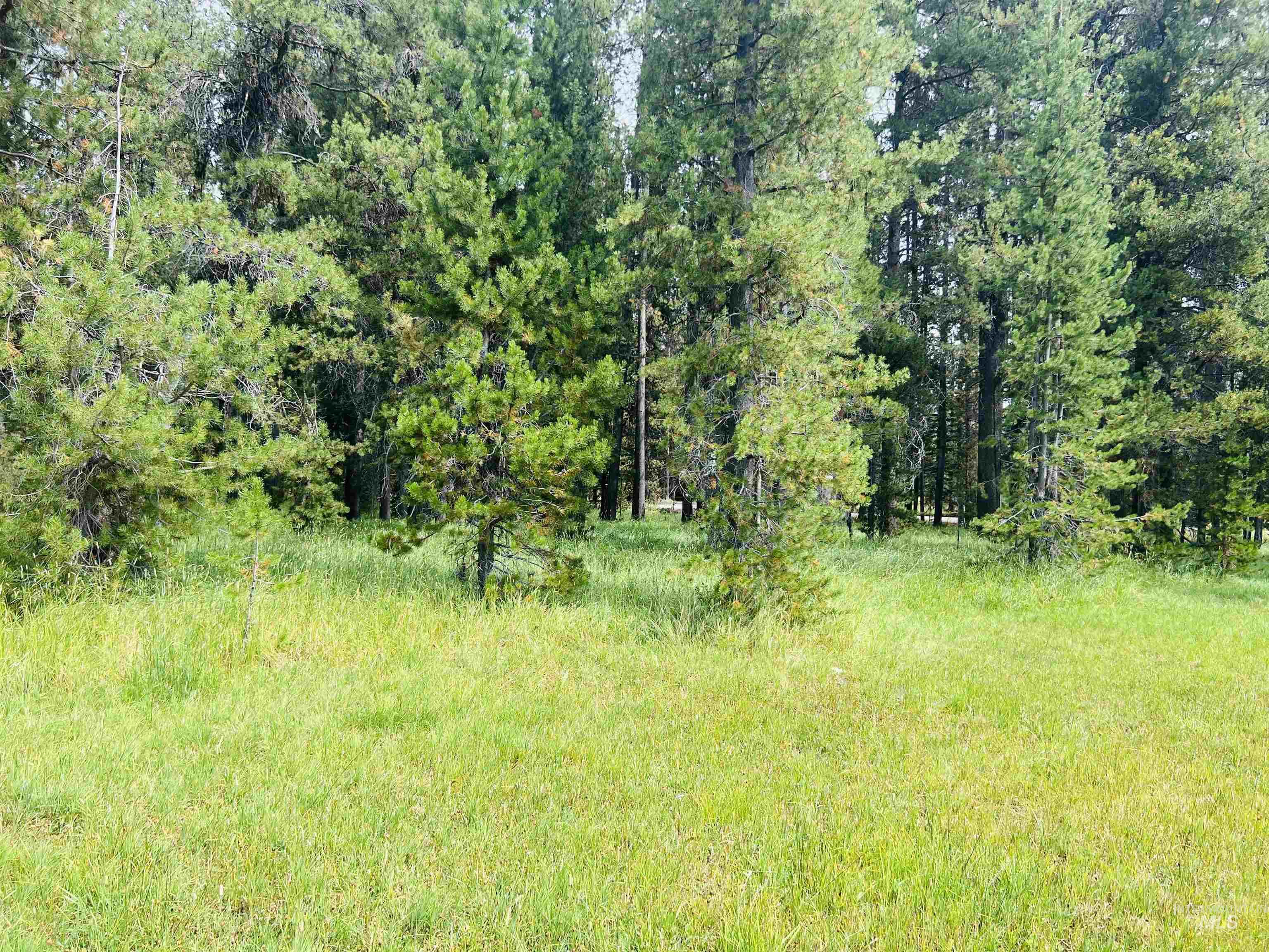 Lots 9&10 Warren Wagon Road Property Photo 5