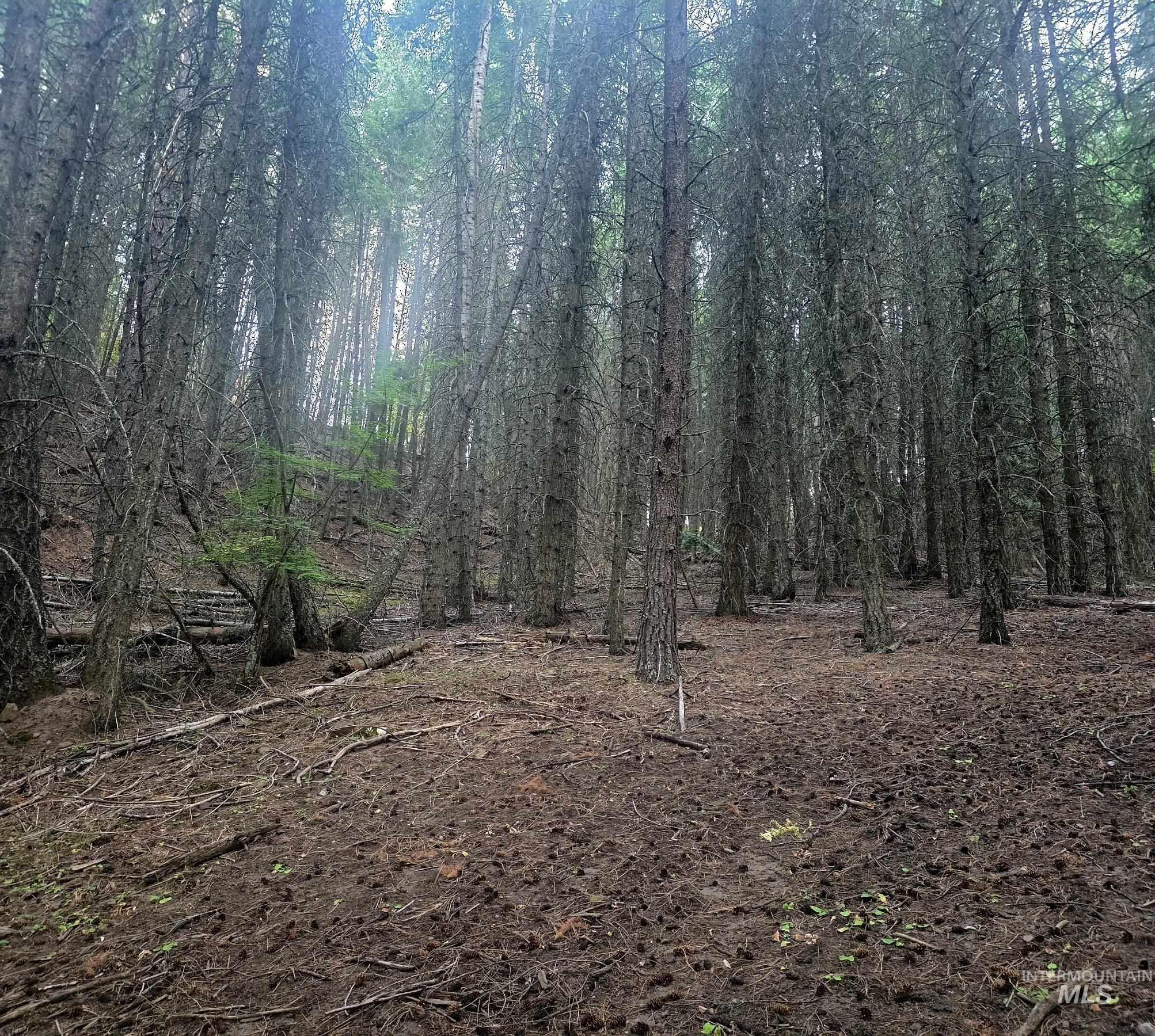 Tbd Black Tail Ln Property Photo 9