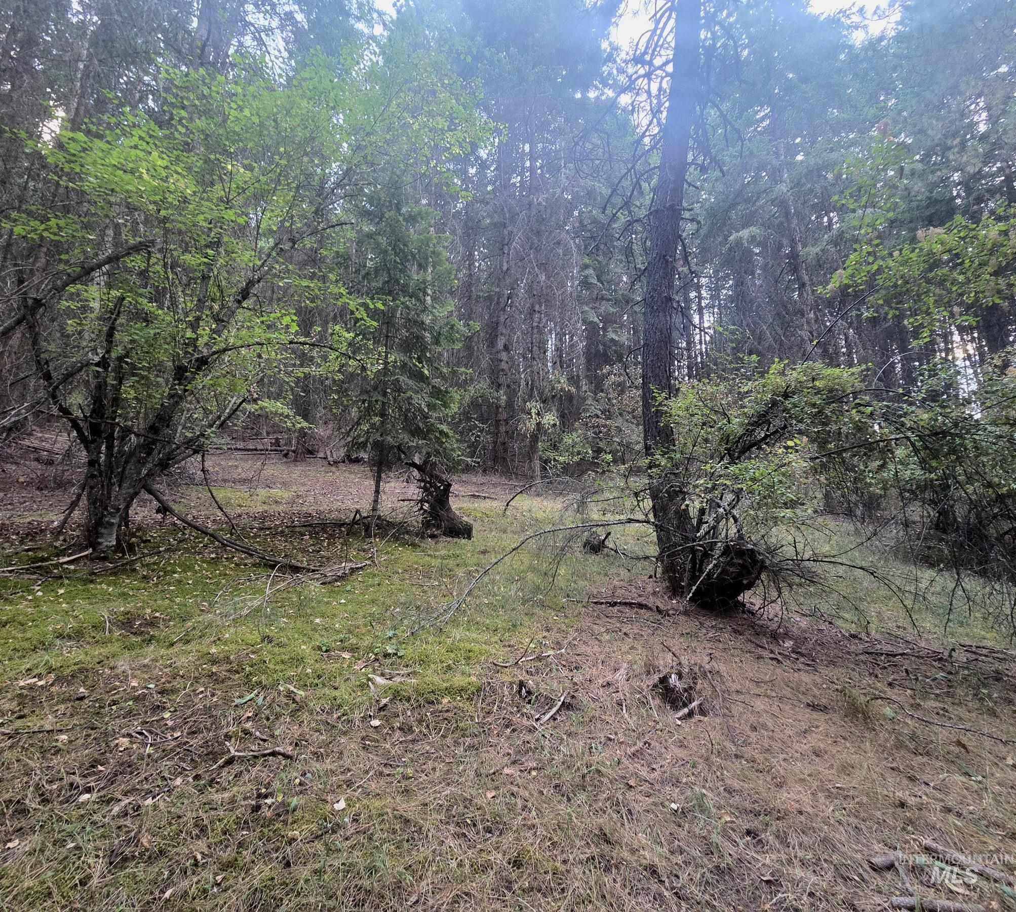 Tbd Black Tail Ln Property Photo 10