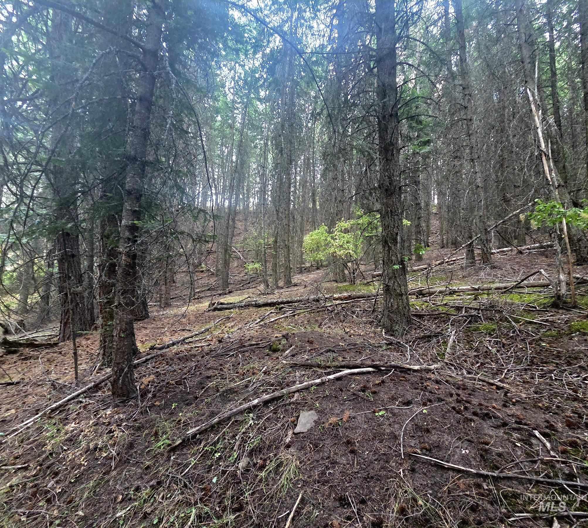 Tbd Black Tail Ln Property Photo 11