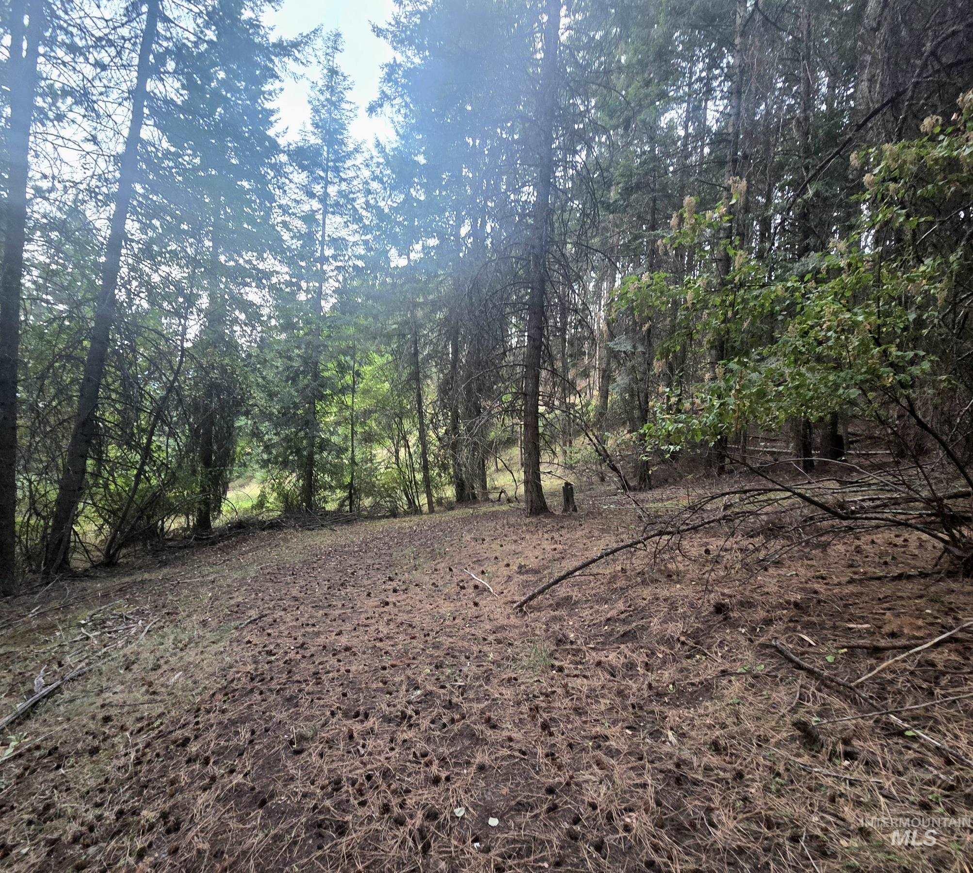 Tbd Black Tail Ln Property Photo 14