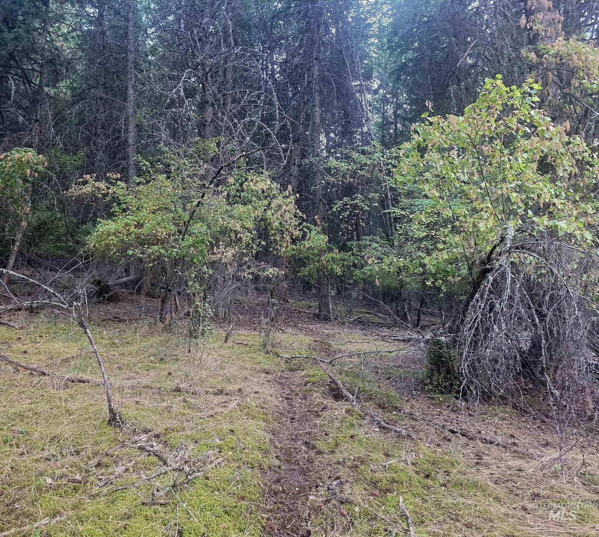 Tbd Black Tail Ln Property Photo 16
