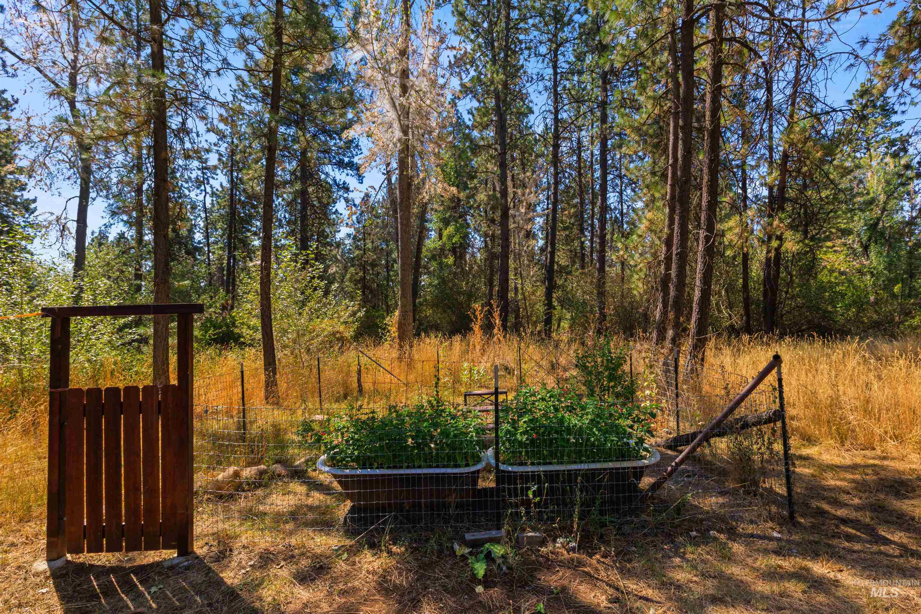 3488 Ward Rd Property Photo 42