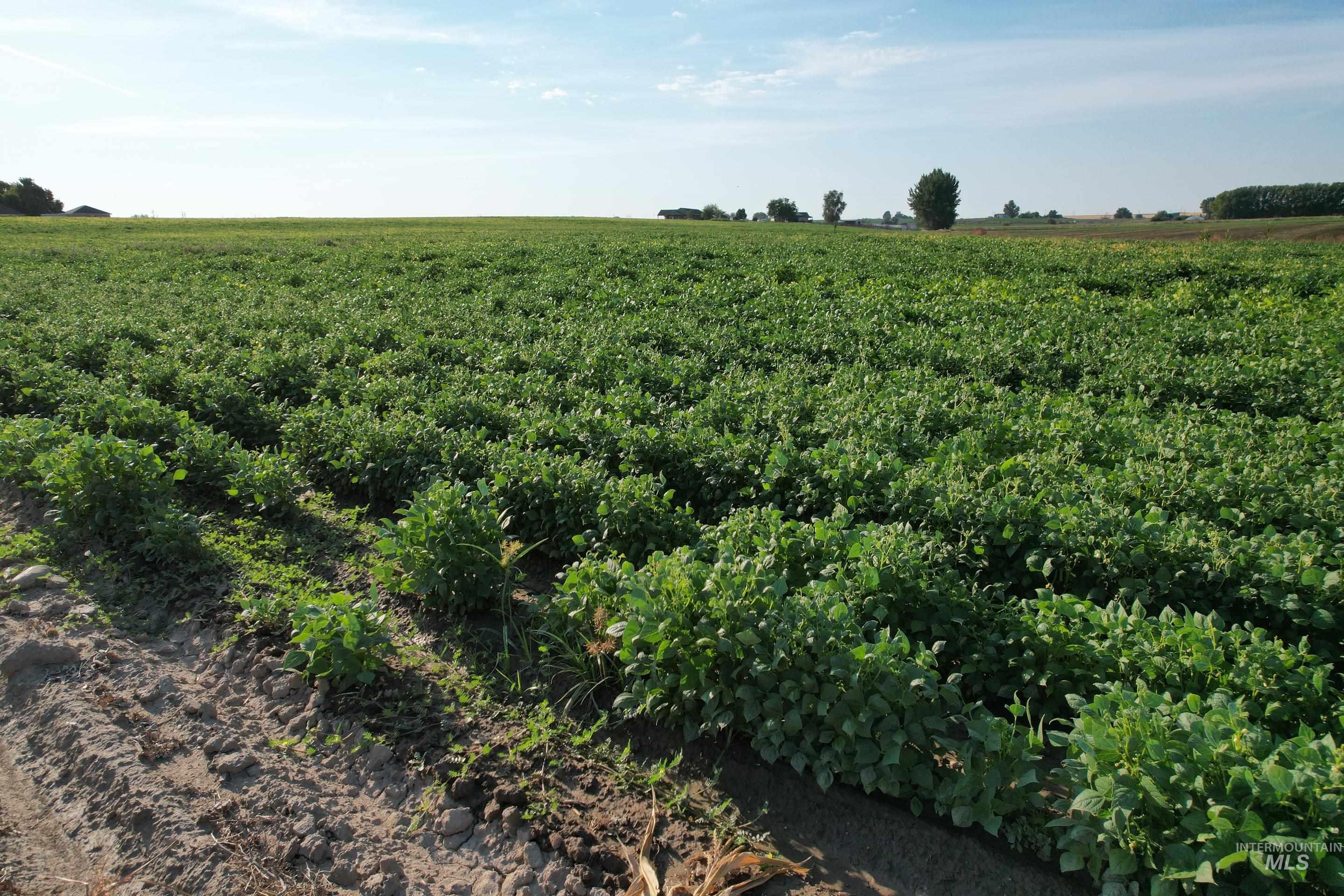 Tbd Malt Road Property Photo 16