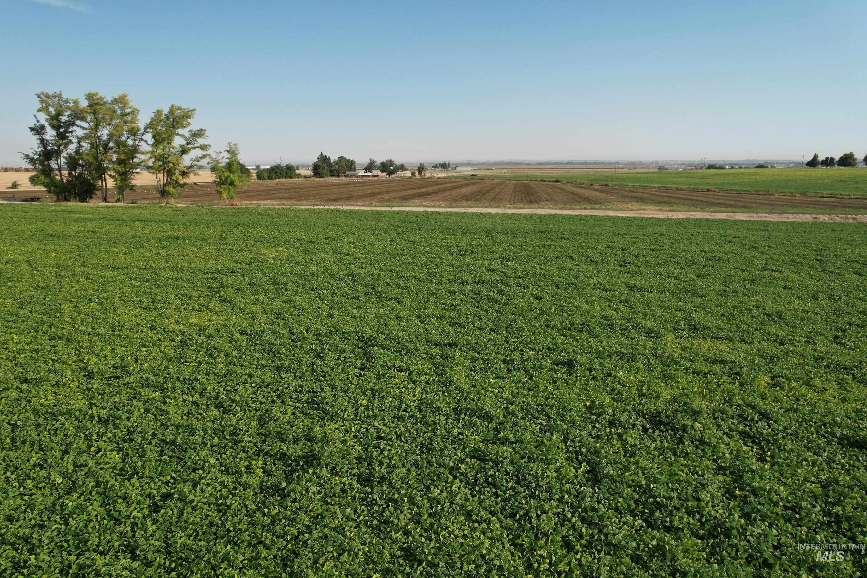 Tbd Malt Road Property Photo 17