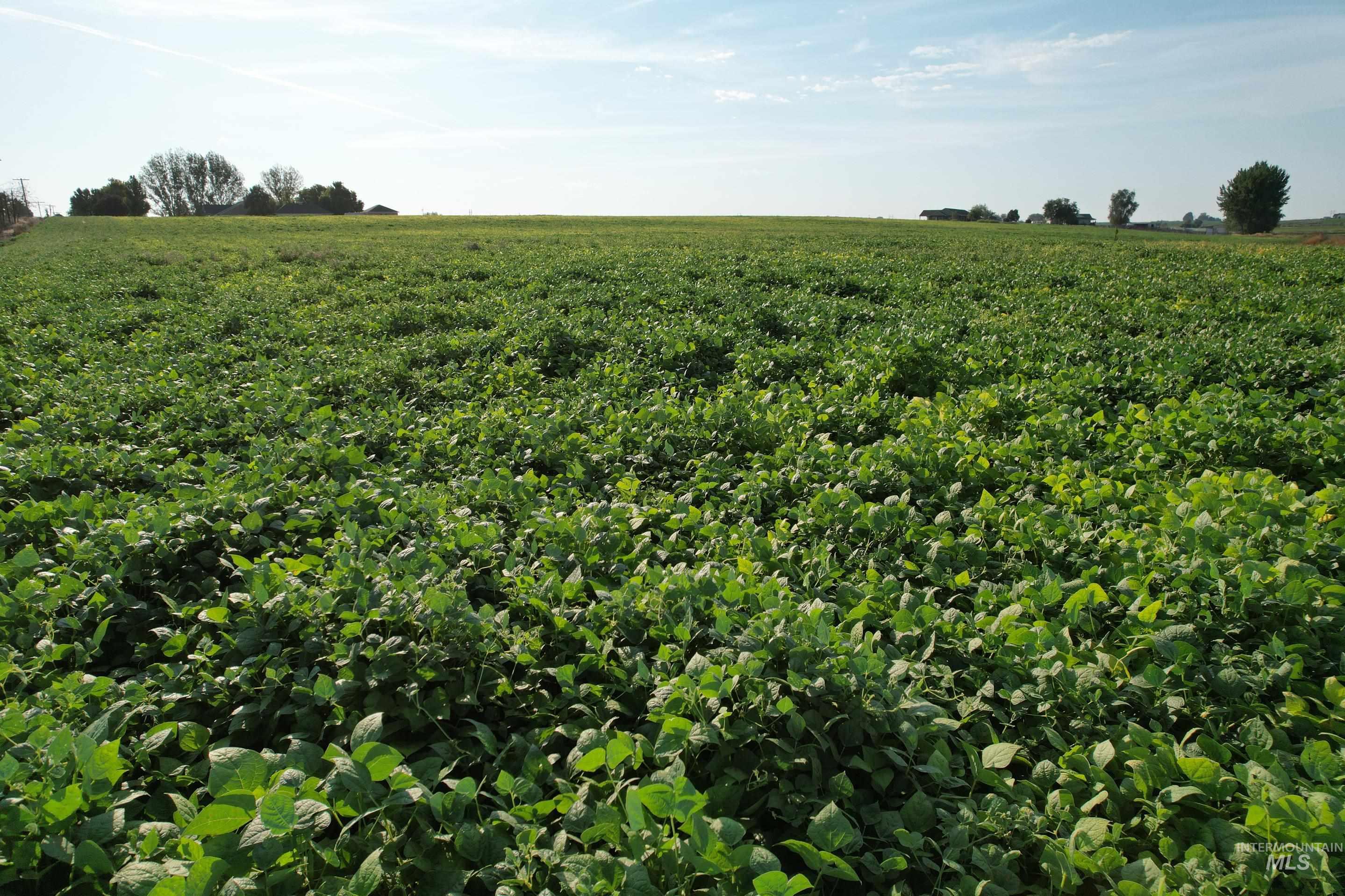 Tbd Malt Road Property Photo 18