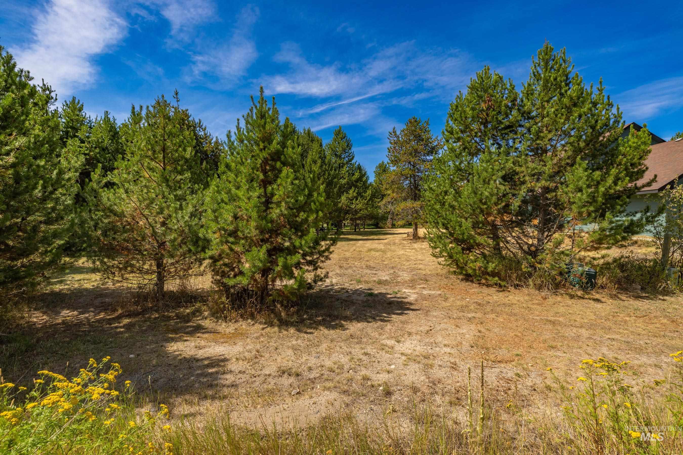 12917 Spring Valley Road Property Photo 4