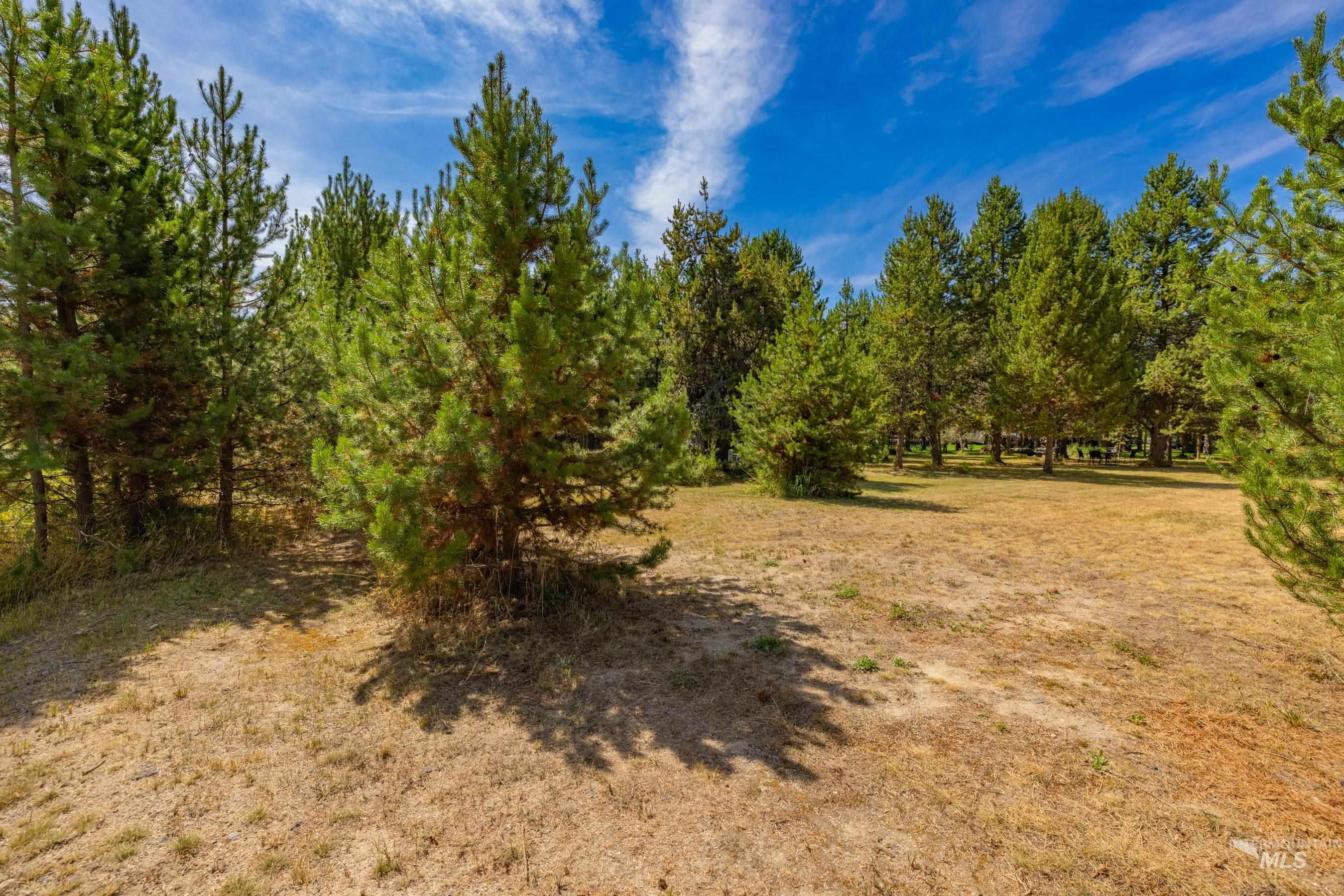 12917 Spring Valley Road Property Photo 8