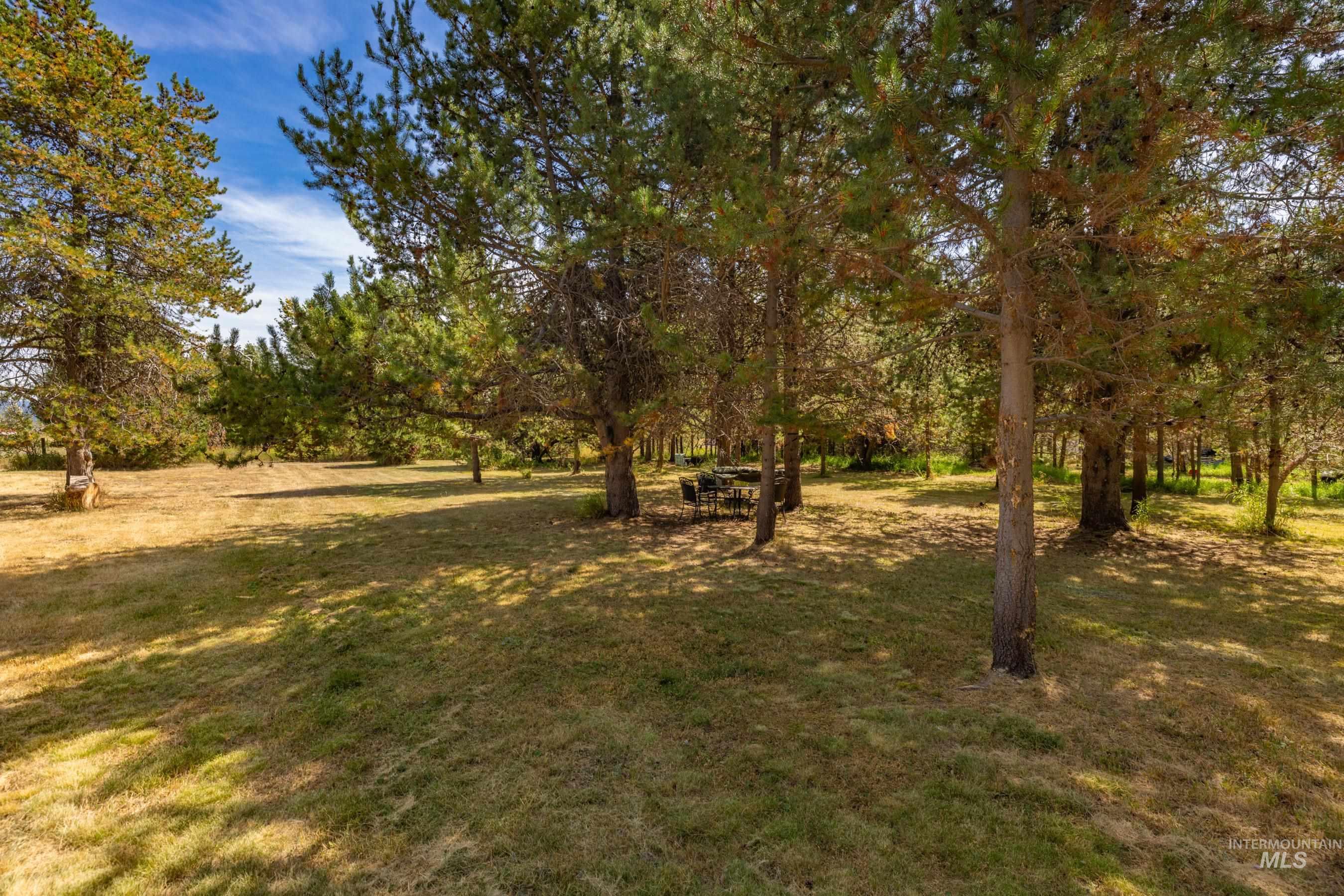 12917 Spring Valley Road Property Photo 11