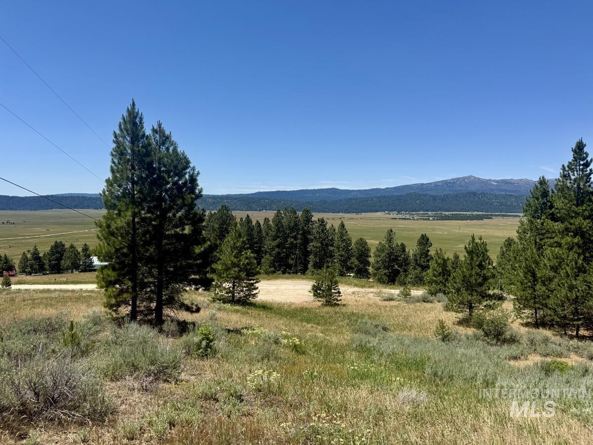10108 Howling Wolf Court Property Photo 1