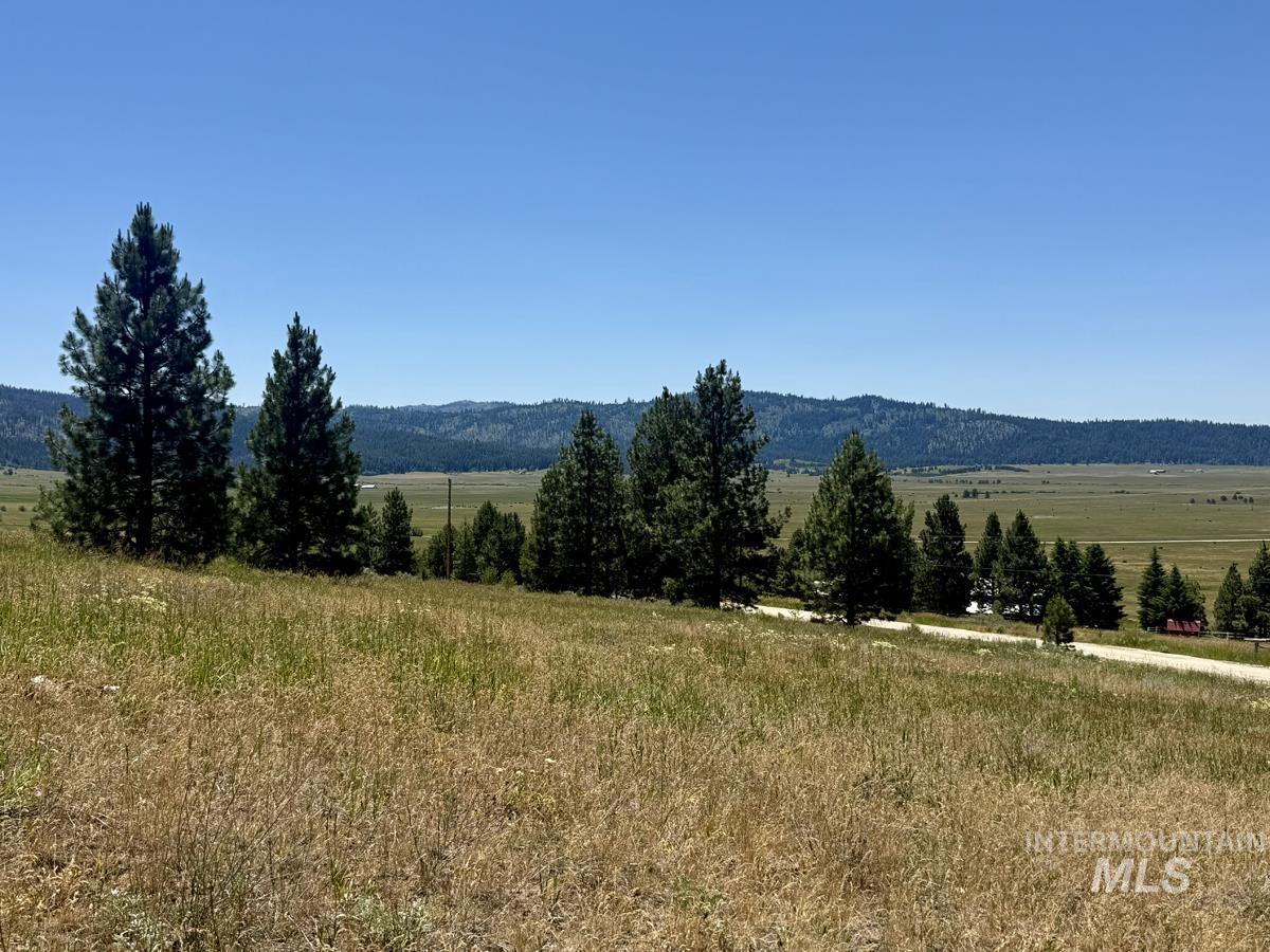 10108 Howling Wolf Court Property Photo 2