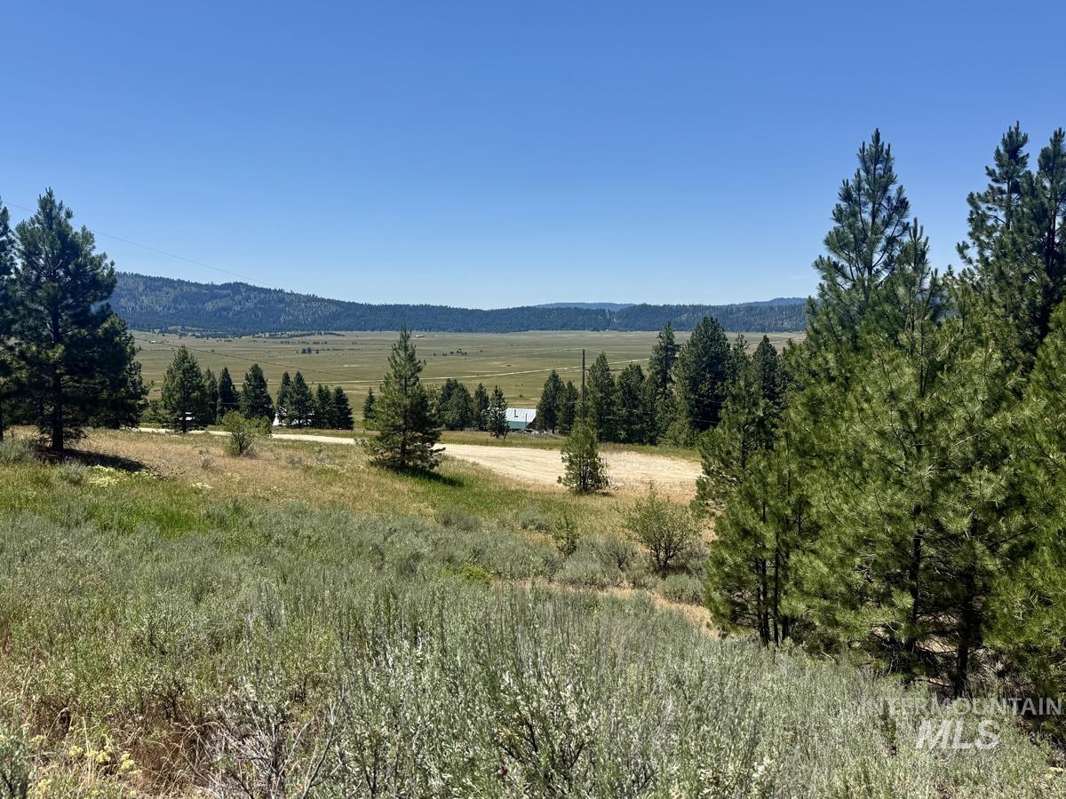 10108 Howling Wolf Court Property Photo 3