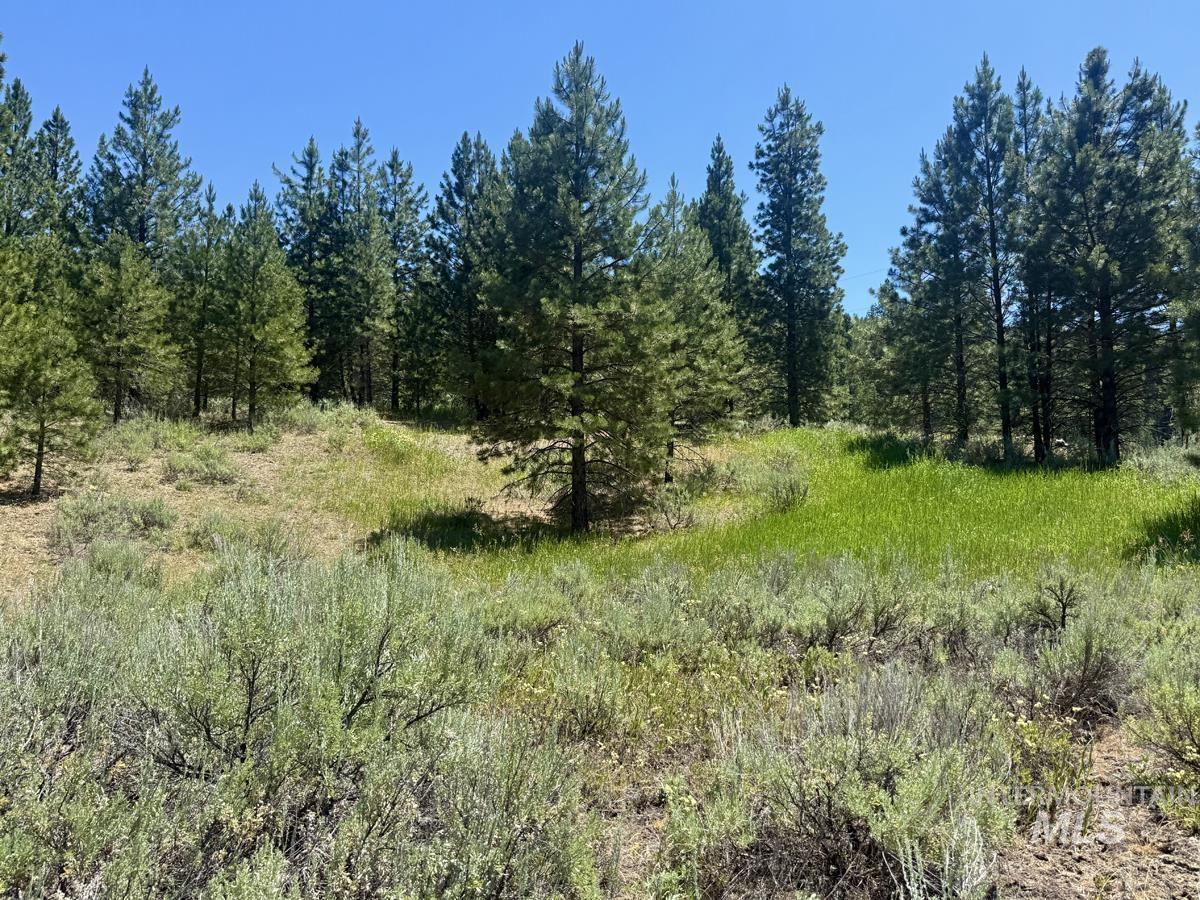 10108 Howling Wolf Court Property Photo 4