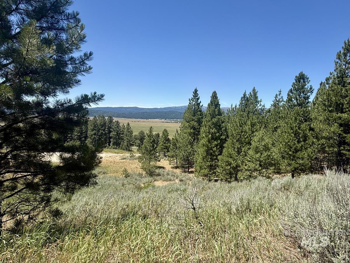 10108 Howling Wolf Court Property Photo 5