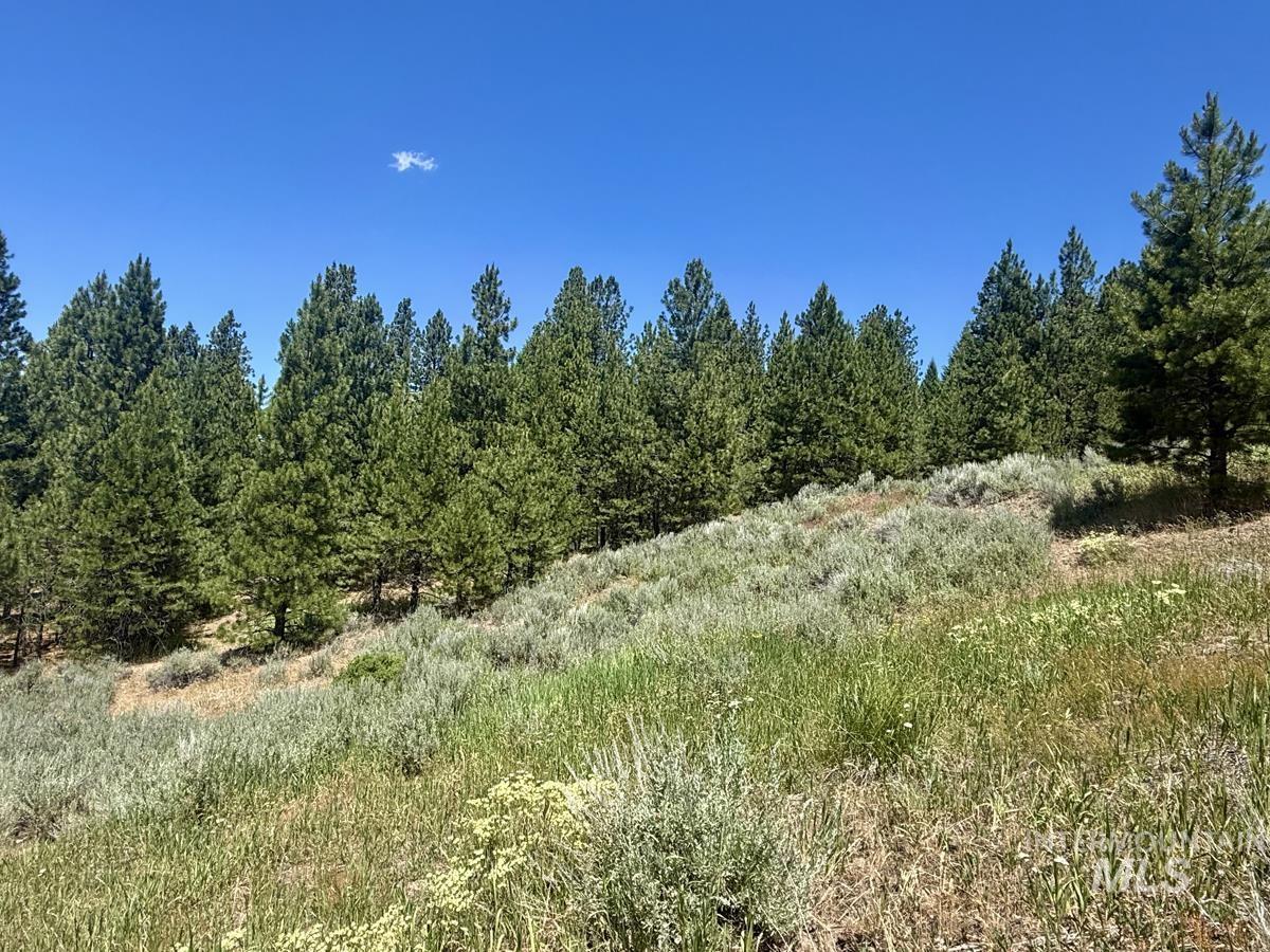 10108 Howling Wolf Court Property Photo 6