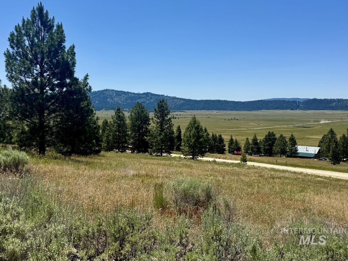 10108 Howling Wolf Court Property Photo 7