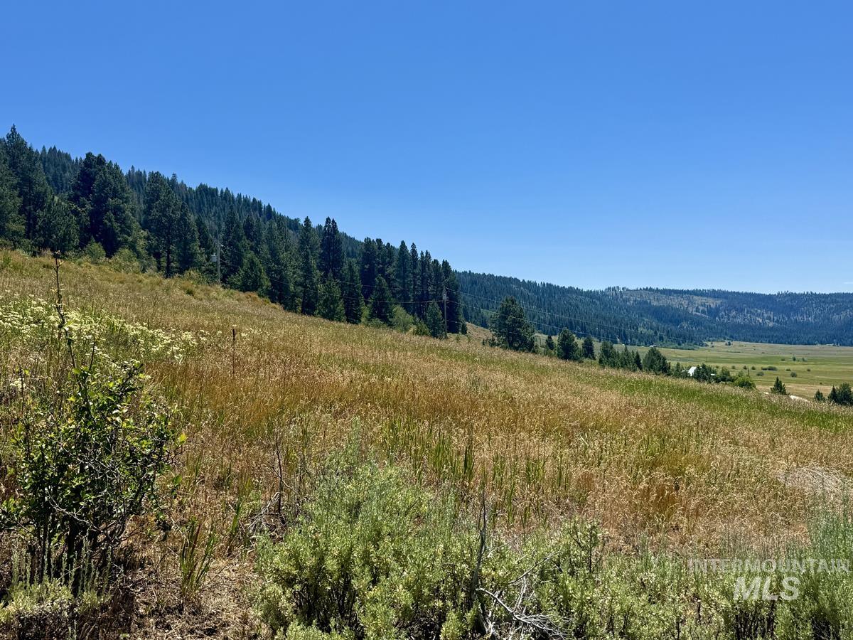 10108 Howling Wolf Court Property Photo 8