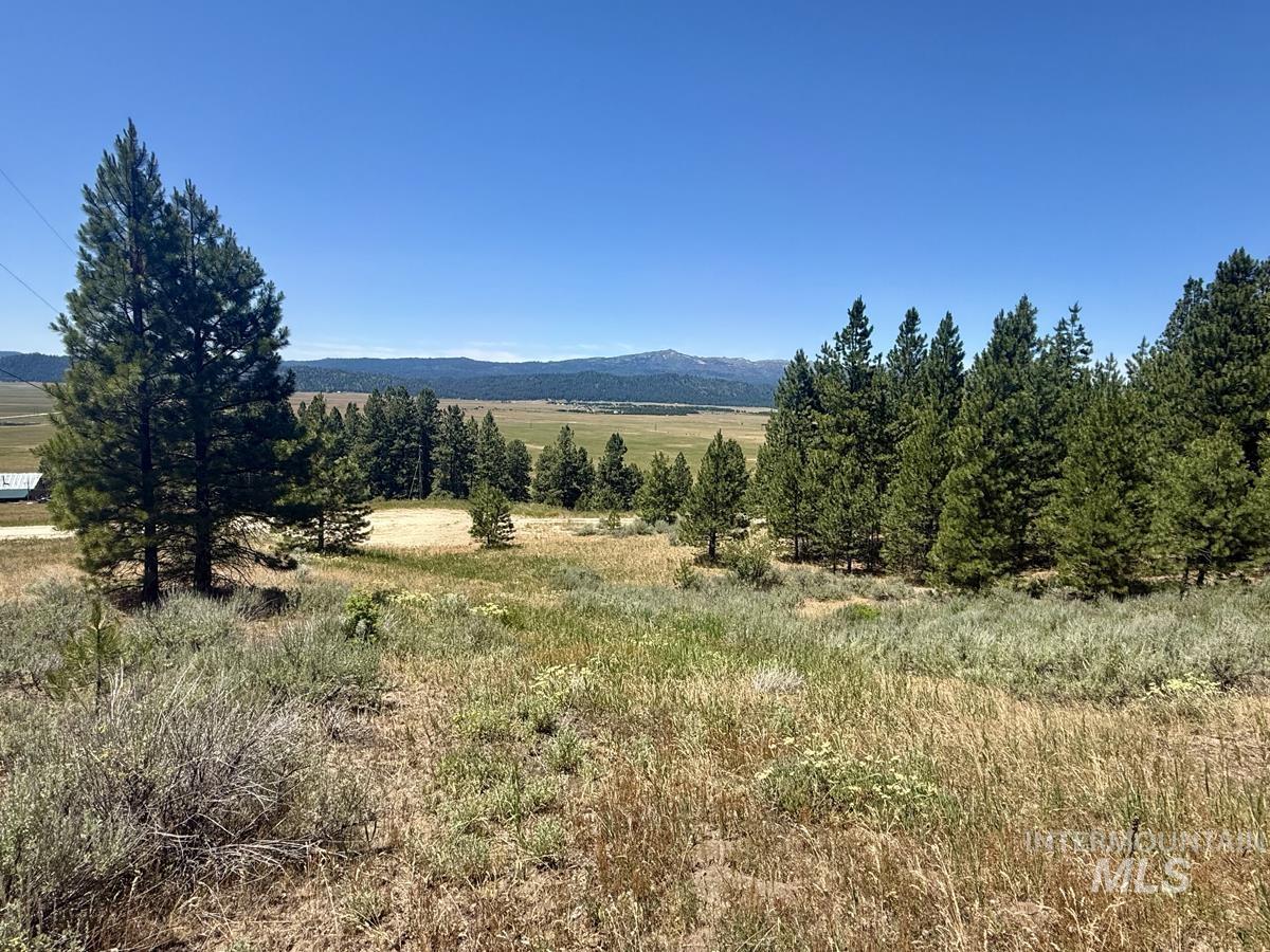 10108 Howling Wolf Court Property Photo 9