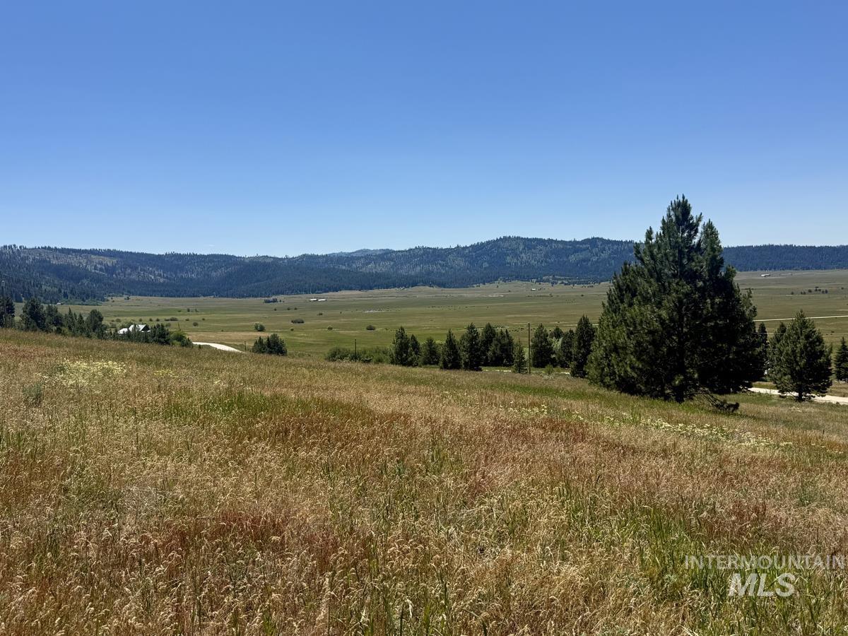 10108 Howling Wolf Court Property Photo 10