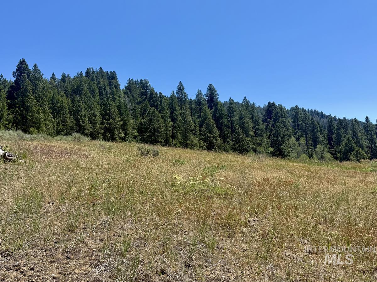 10108 Howling Wolf Court Property Photo 11