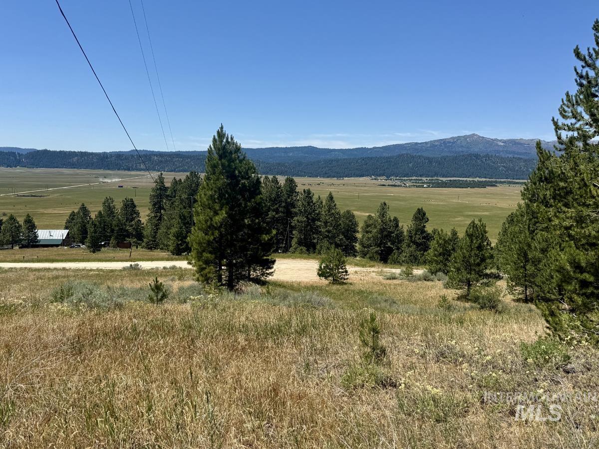10108 Howling Wolf Court Property Photo 12