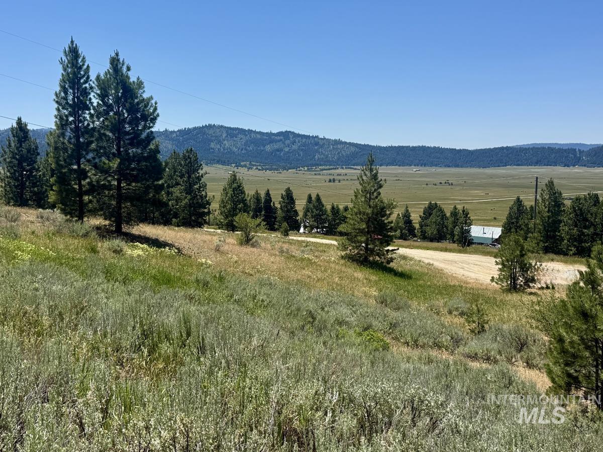 10108 Howling Wolf Court Property Photo 13