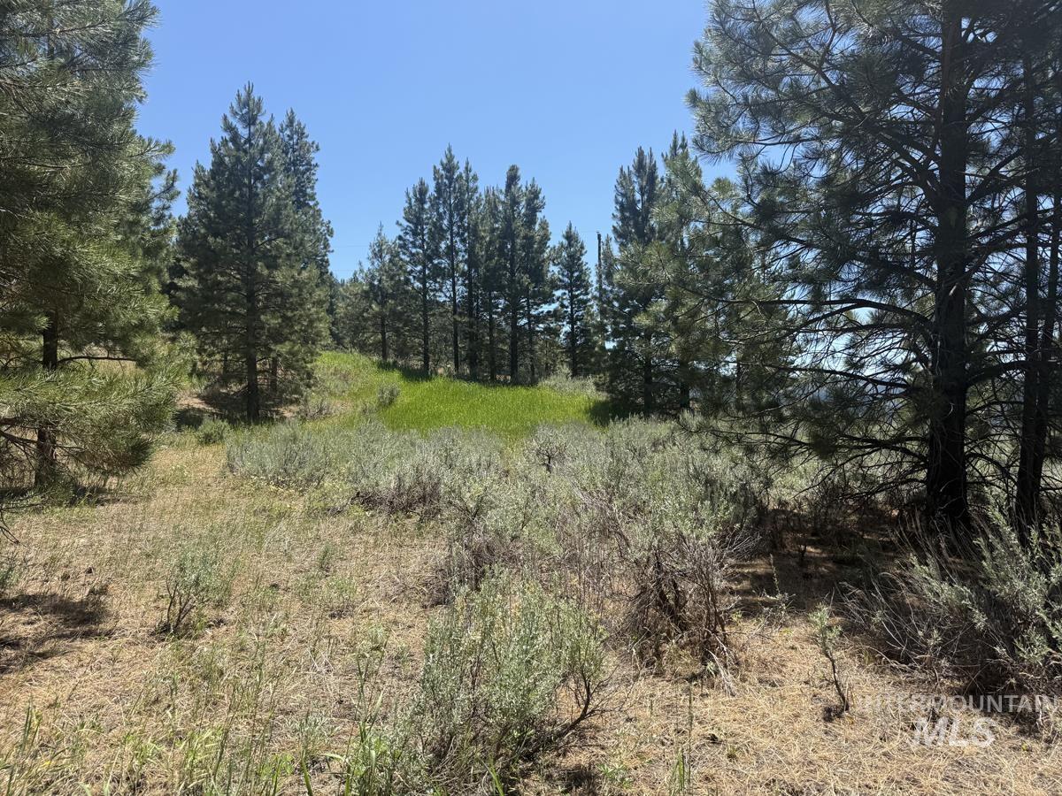 10108 Howling Wolf Court Property Photo 14