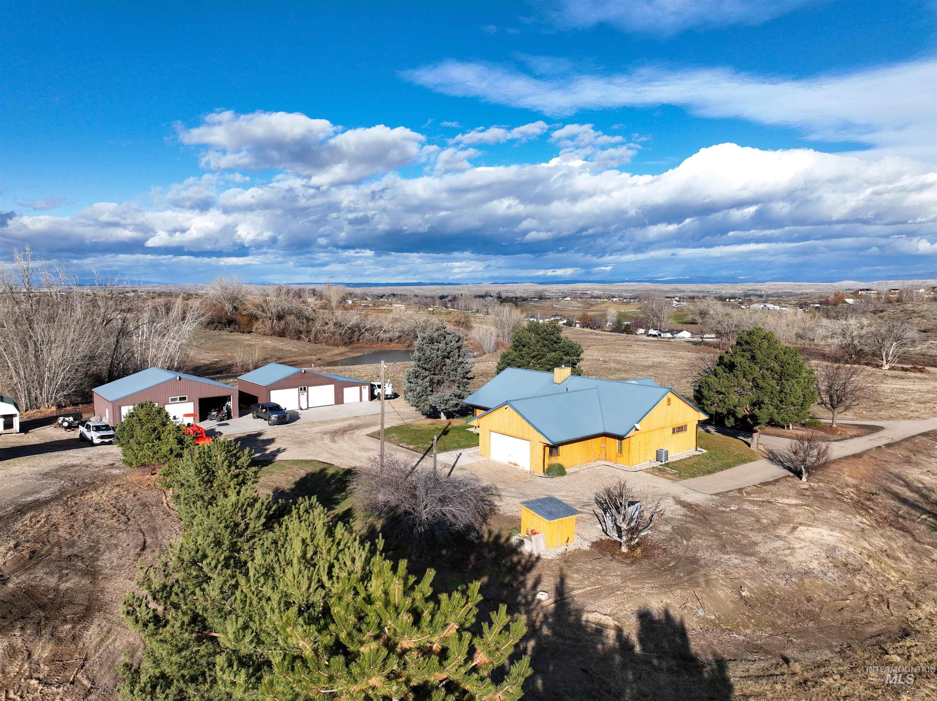 3615 Cassia
