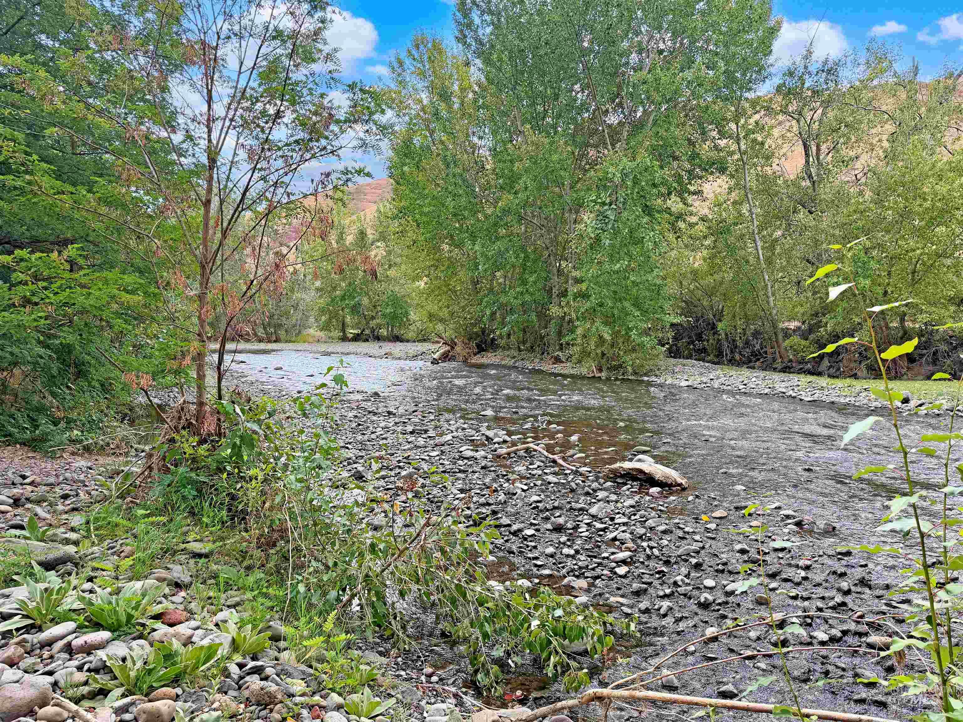 1920 Tucannon Road Property Photo 3