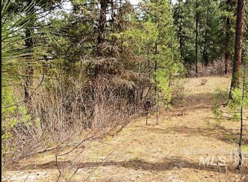 Tbd Apple Wood Dr Property Photo 2