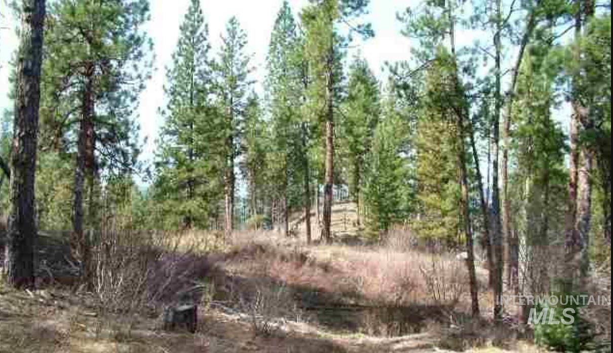 Tbd Apple Wood Dr Property Photo 6