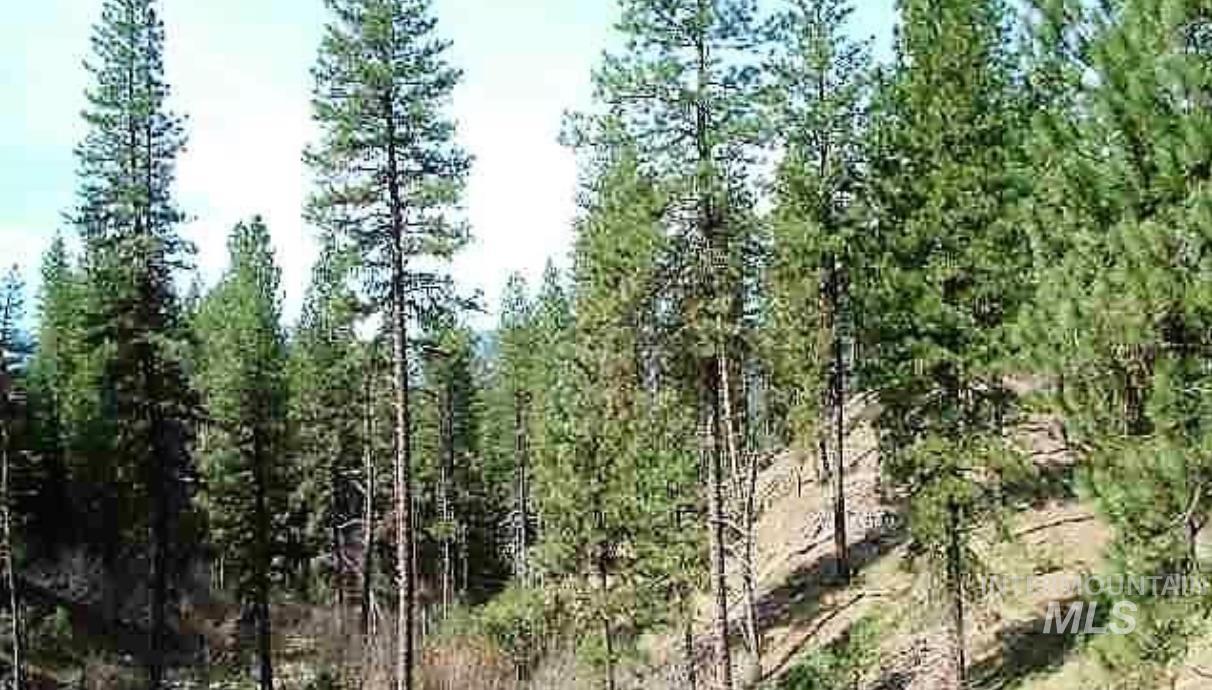Tbd Apple Wood Dr Property Photo 7