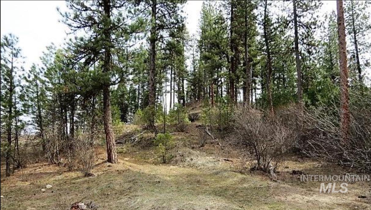 Tbd Apple Wood Dr Property Photo 8