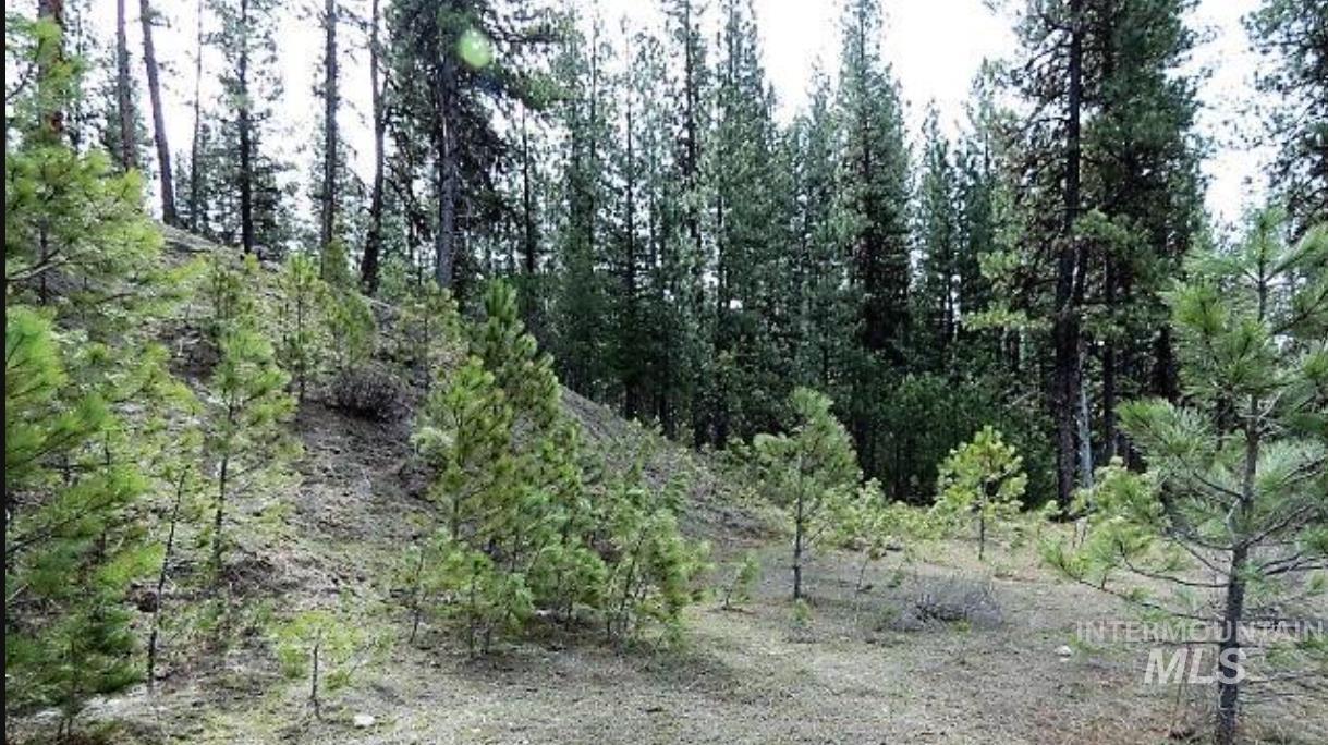 Tbd Apple Wood Dr Property Photo 10