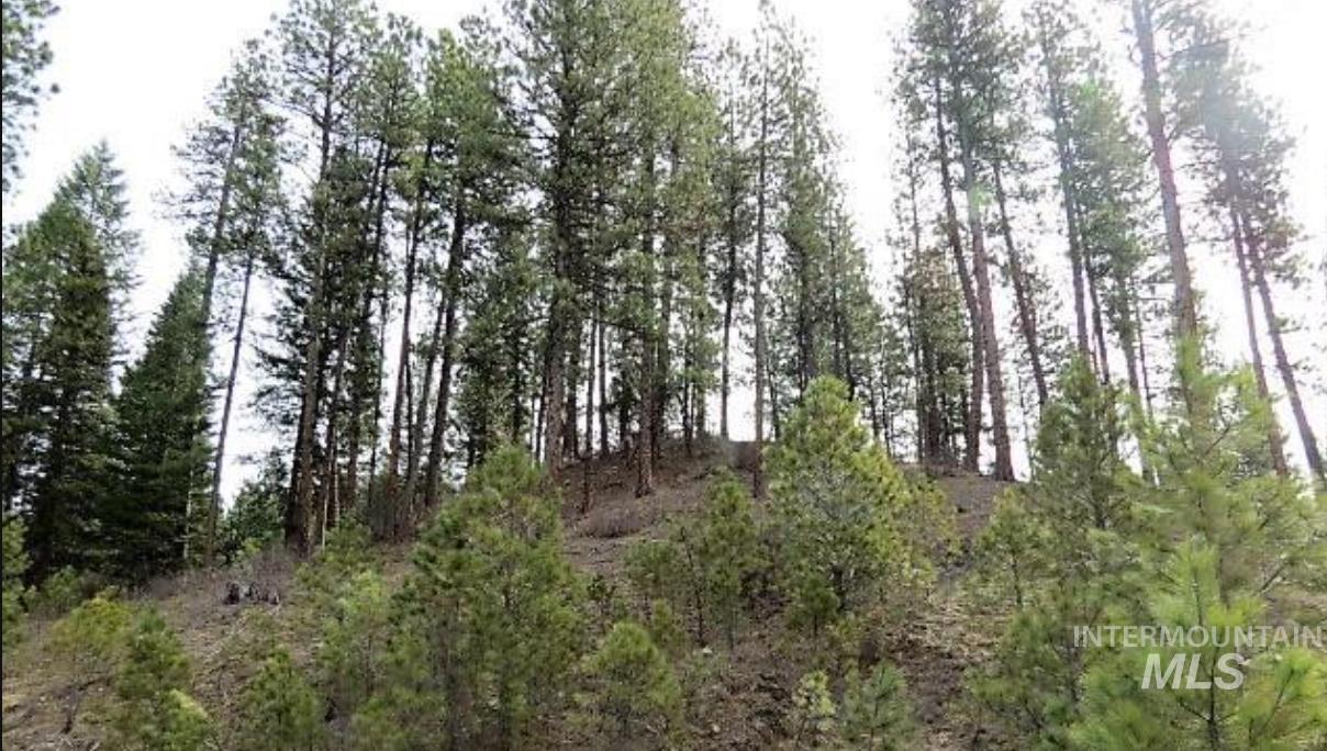 Tbd Apple Wood Dr Property Photo 11