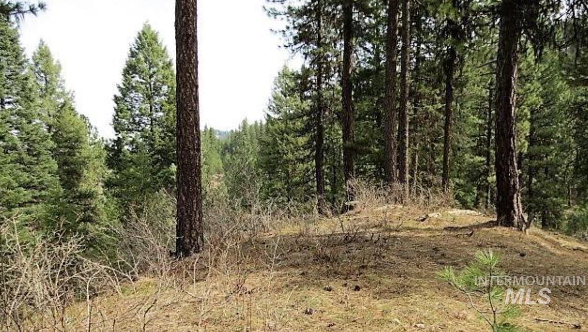 Tbd Apple Wood Dr Property Photo 12