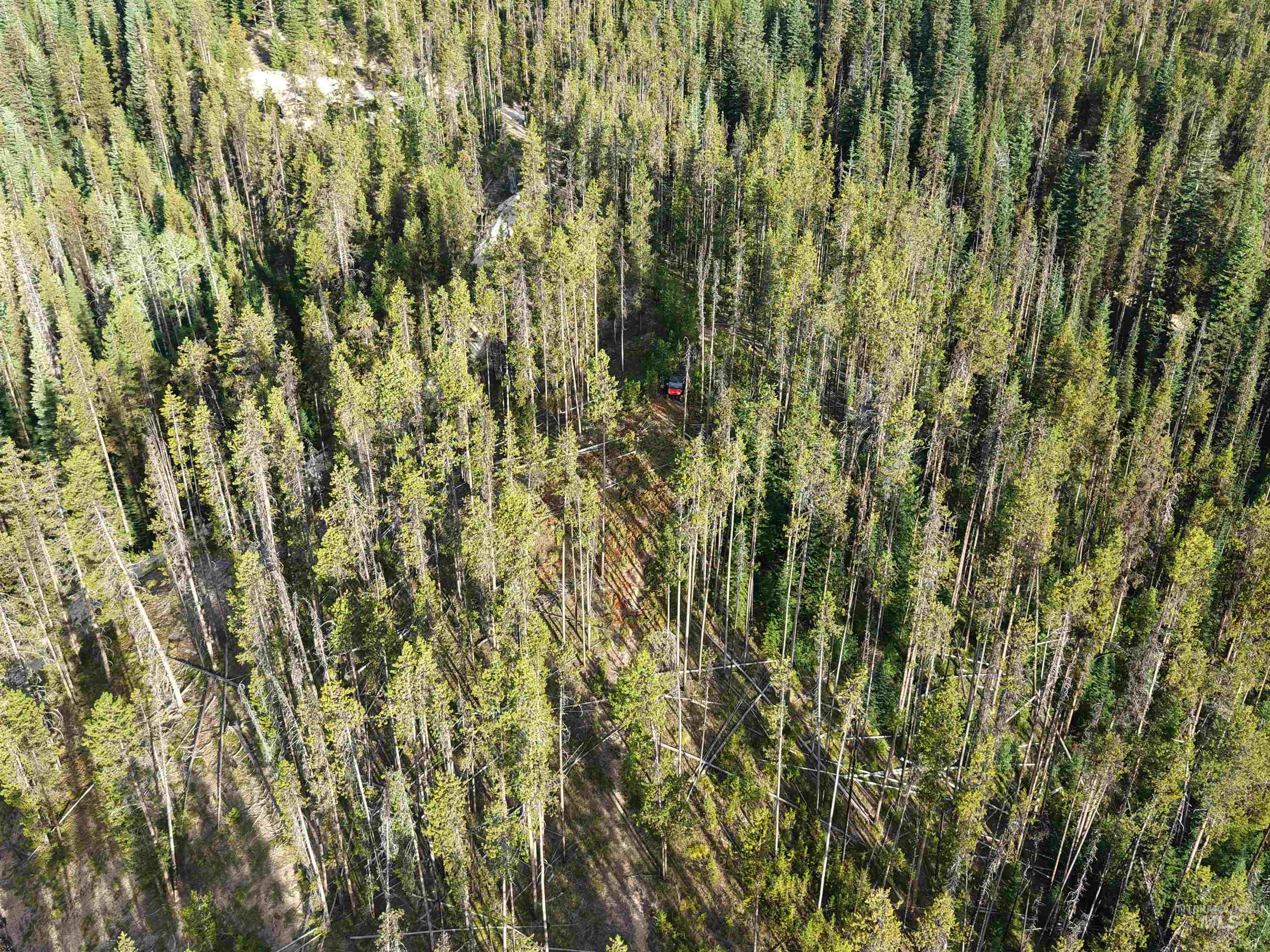Tbd Copperhead Rd Property Photo 8