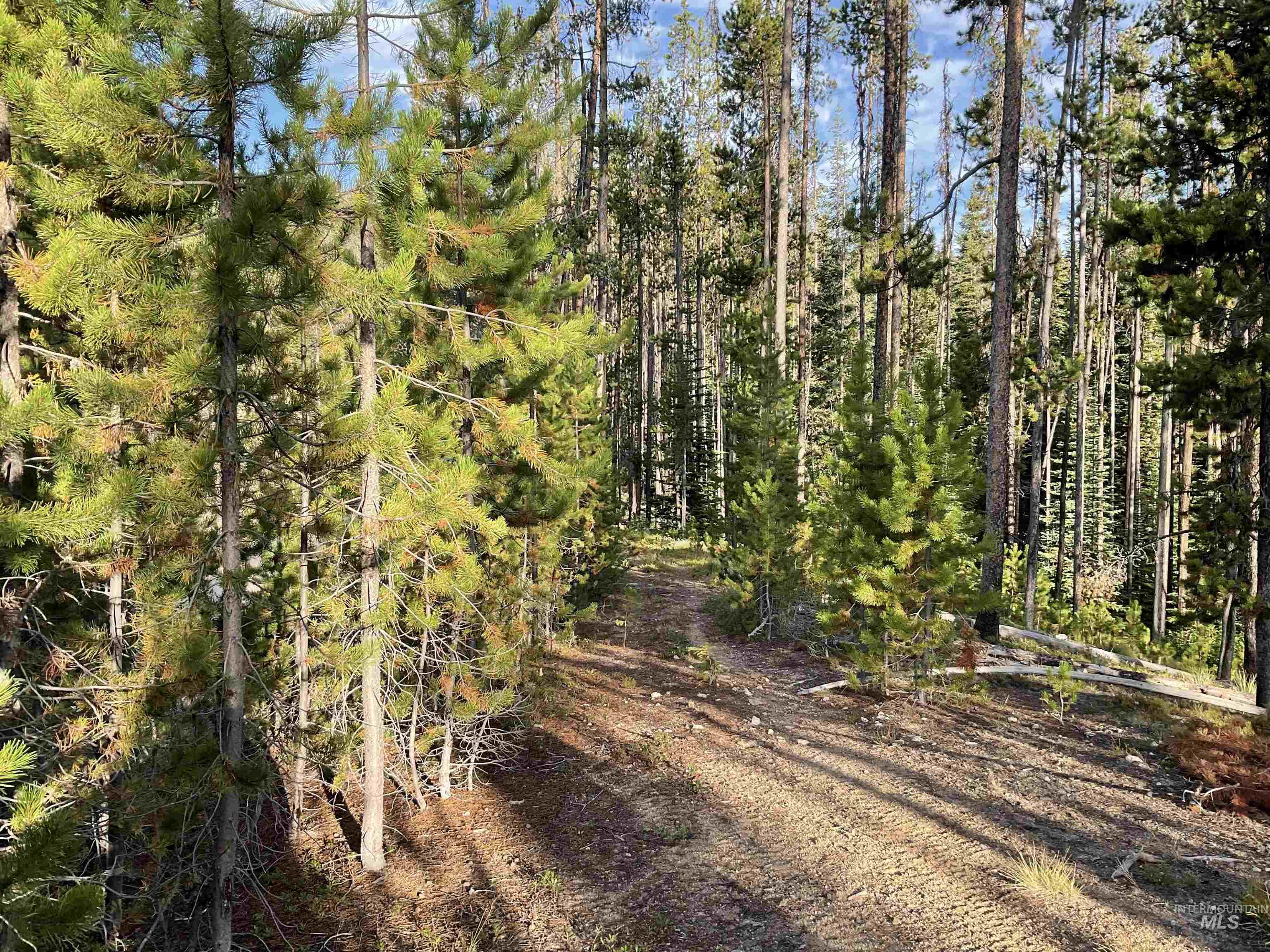 Tbd Copperhead Rd Property Photo 12