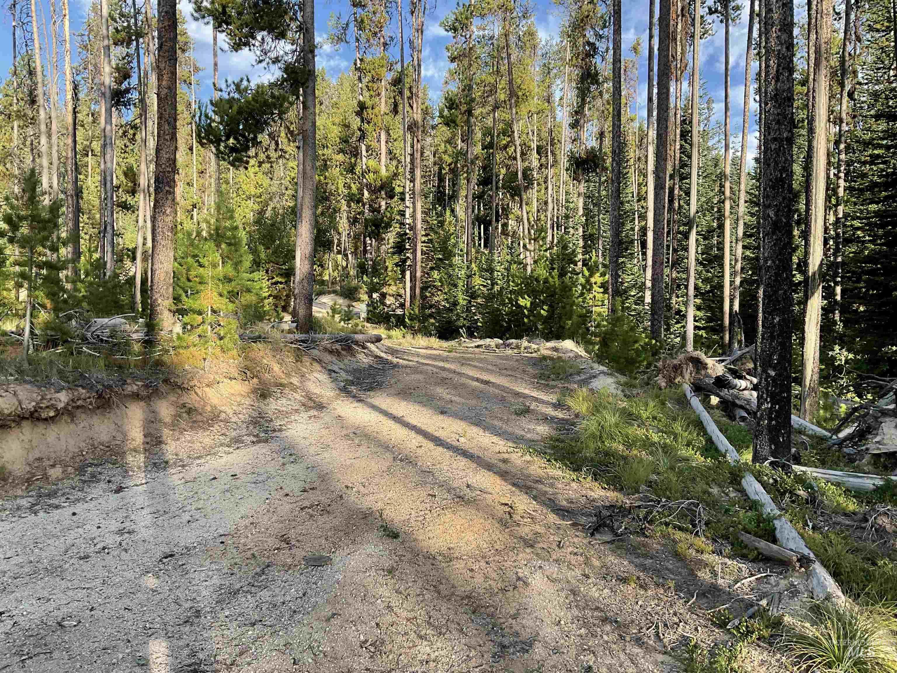 Tbd Copperhead Rd Property Photo 13