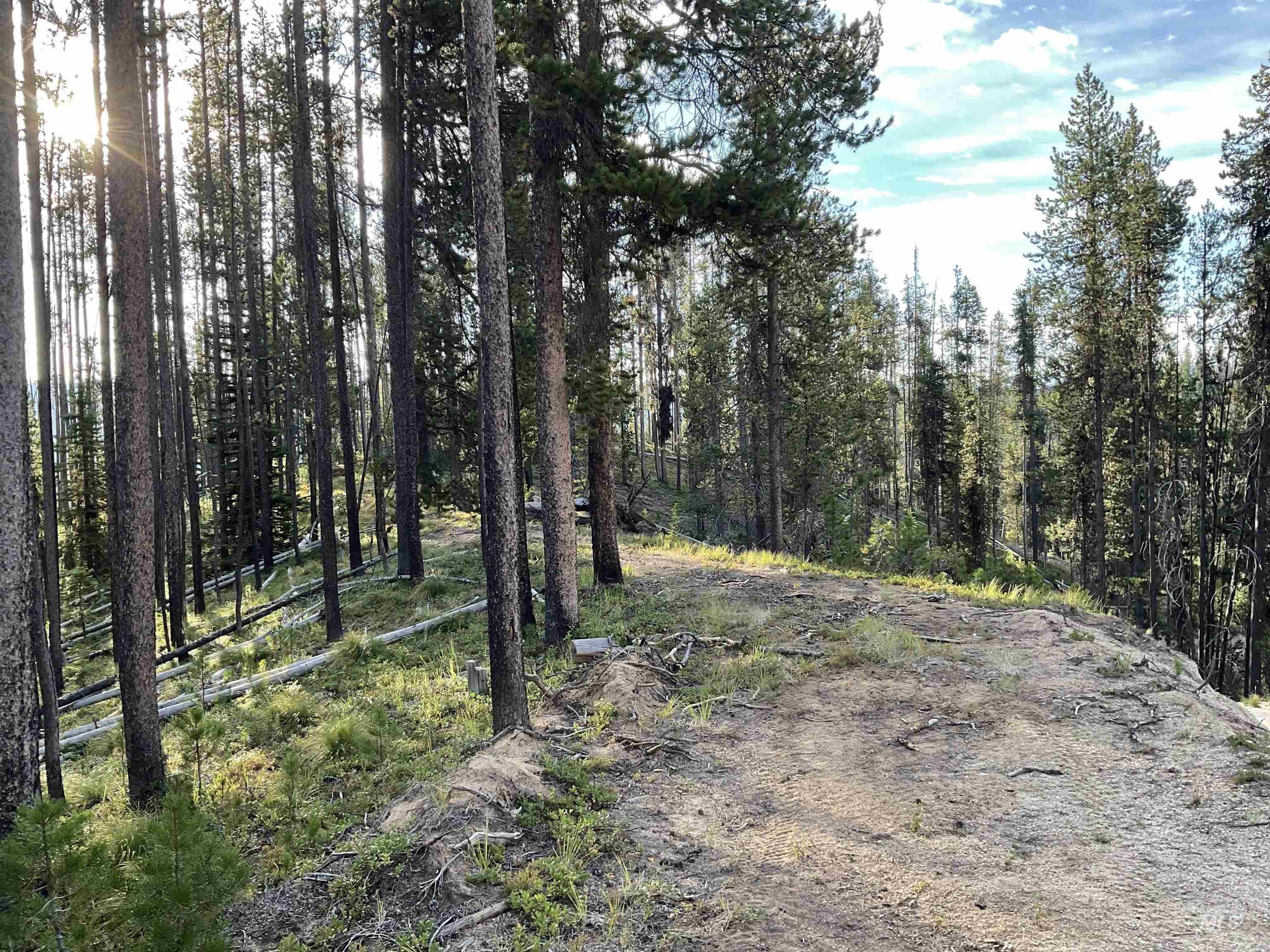 Tbd Copperhead Rd Property Photo 15