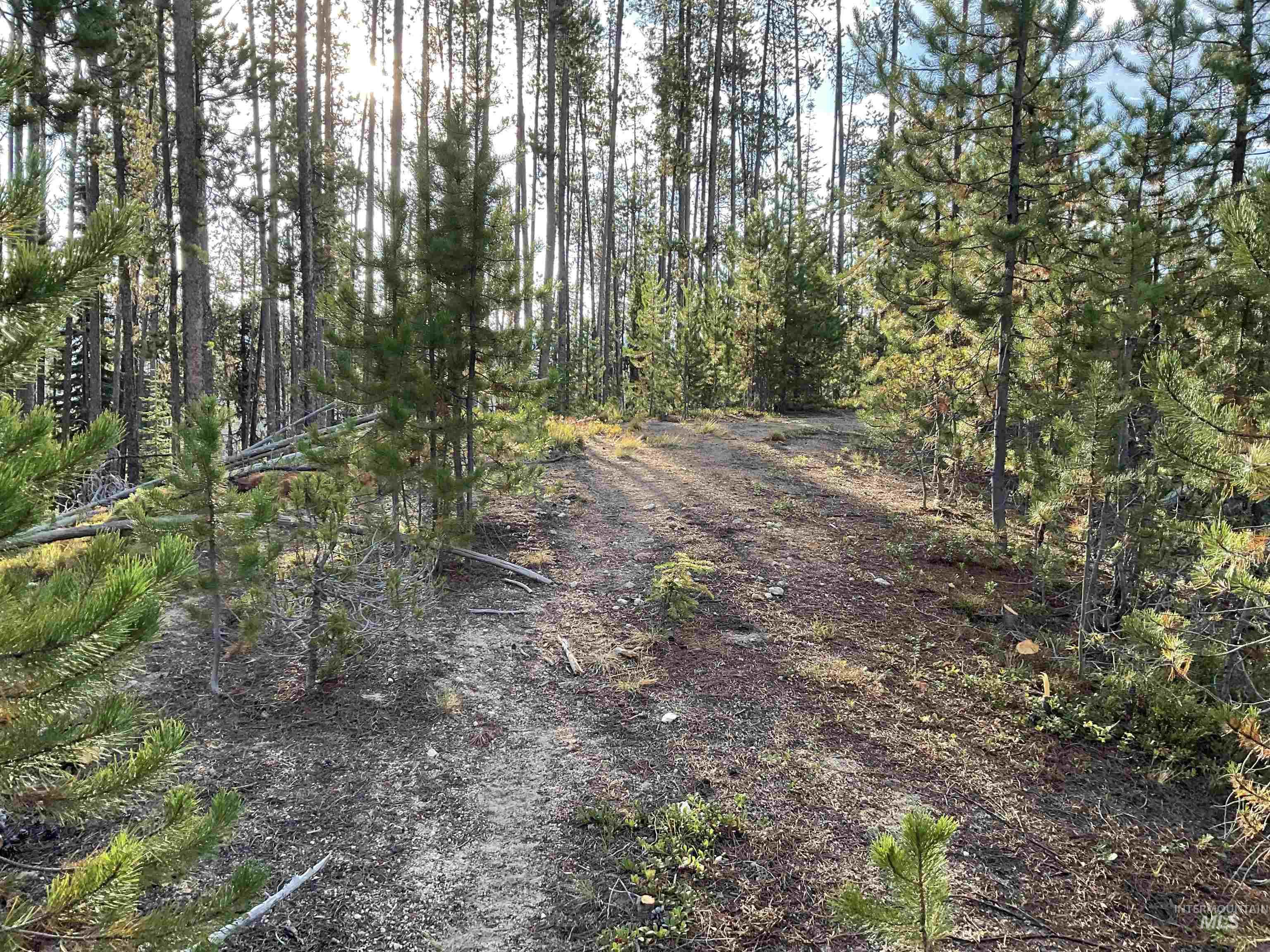 Tbd Copperhead Rd Property Photo 20