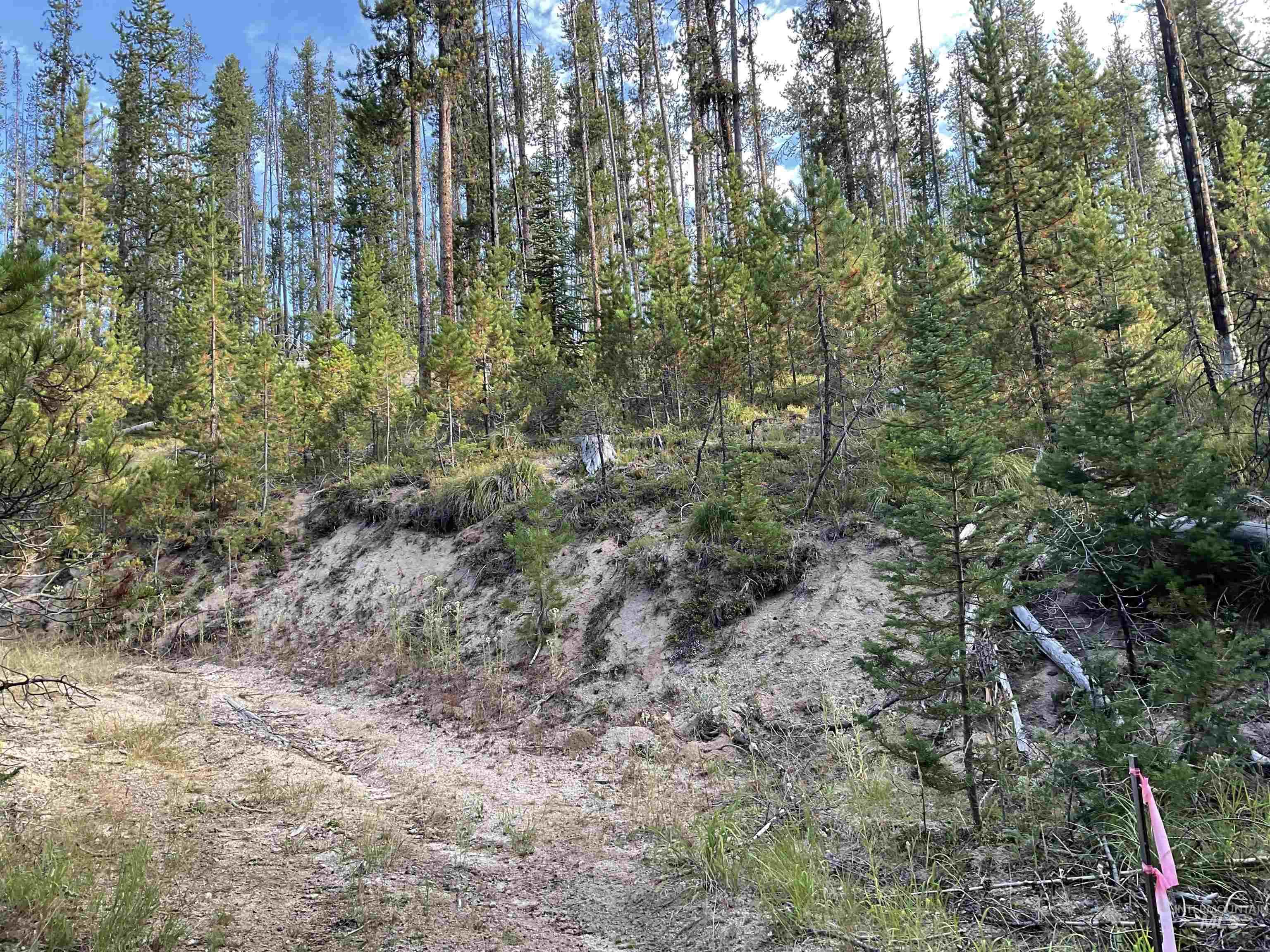 Tbd Copperhead Rd Property Photo 23