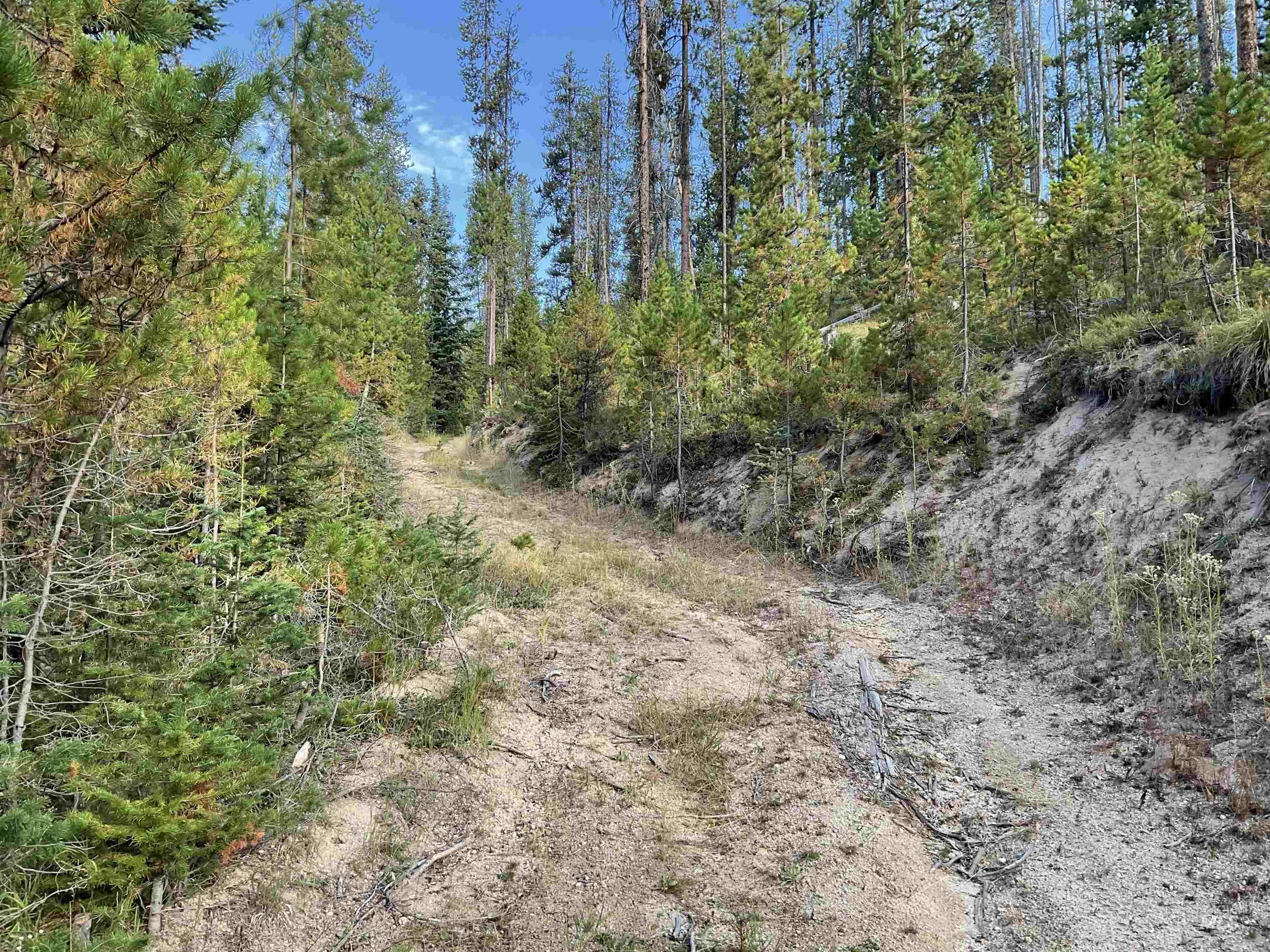 Tbd Copperhead Rd Property Photo 24