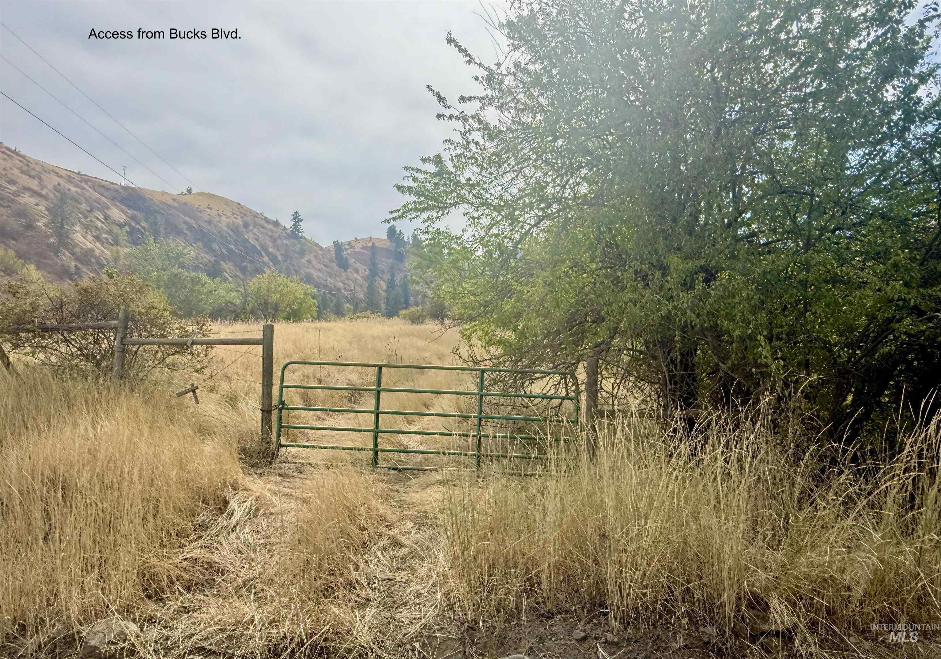 231 Gregory Creek Rd. Property Photo 50