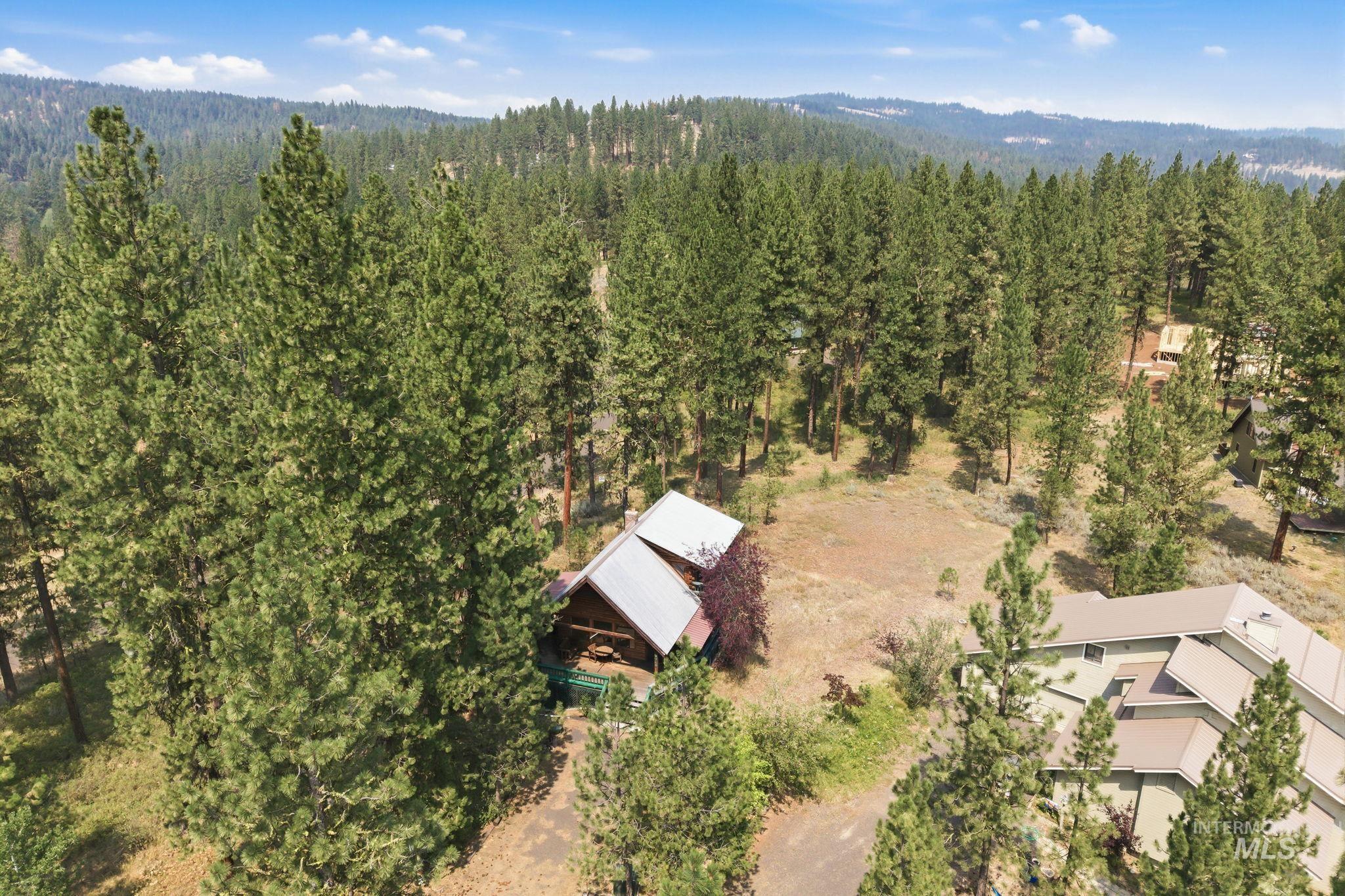 3918 Baneberry Drive Property Photo 45